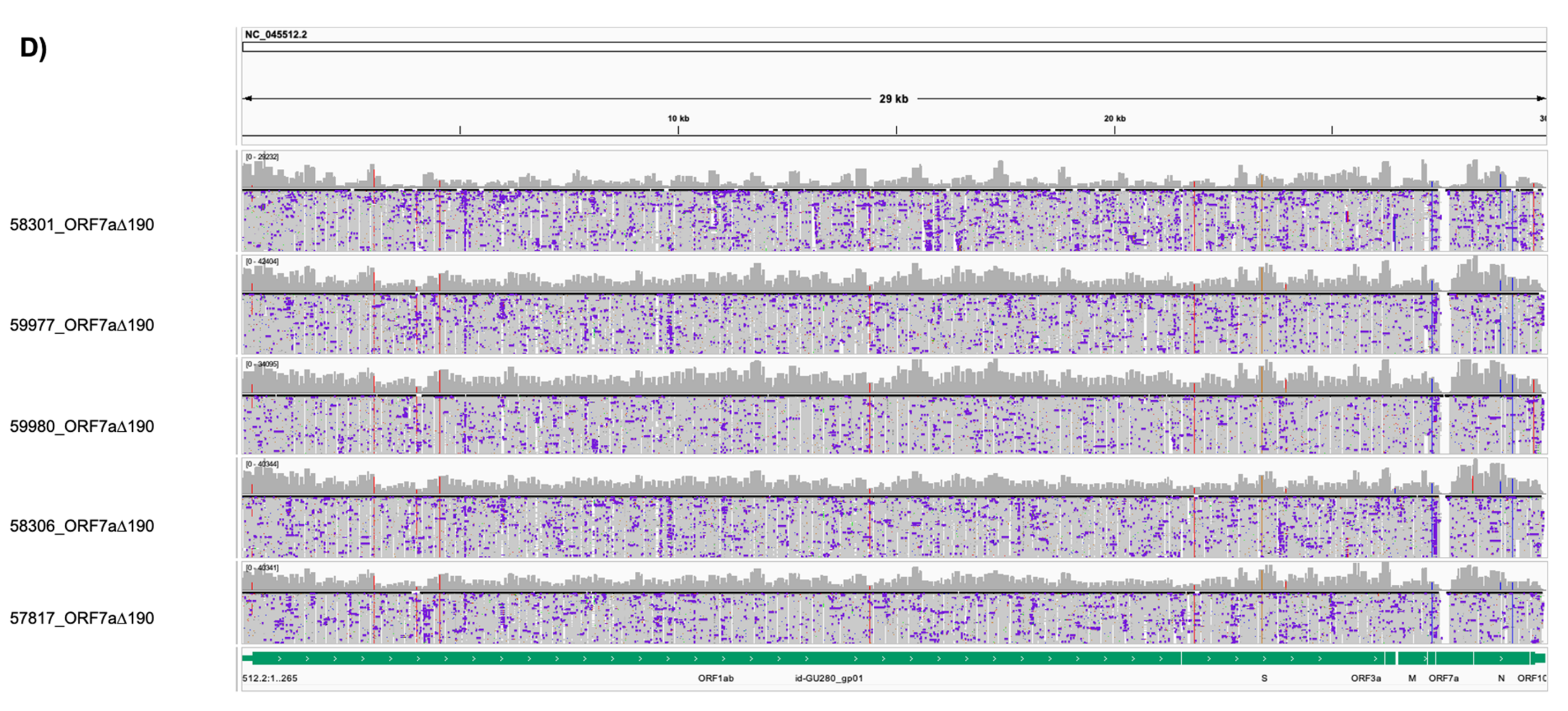 Viruses 15 00801 g001b