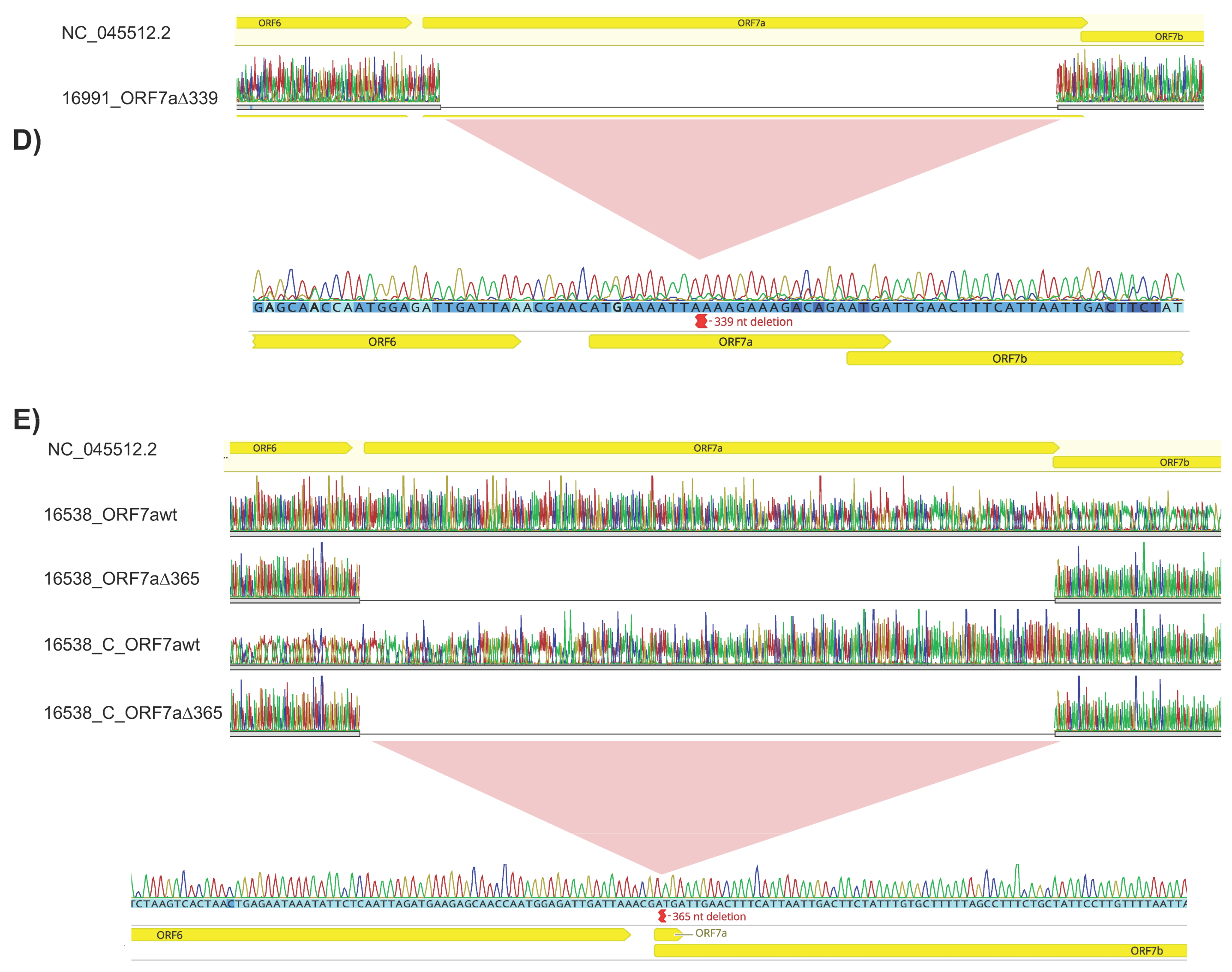 Viruses 15 00801 g002b