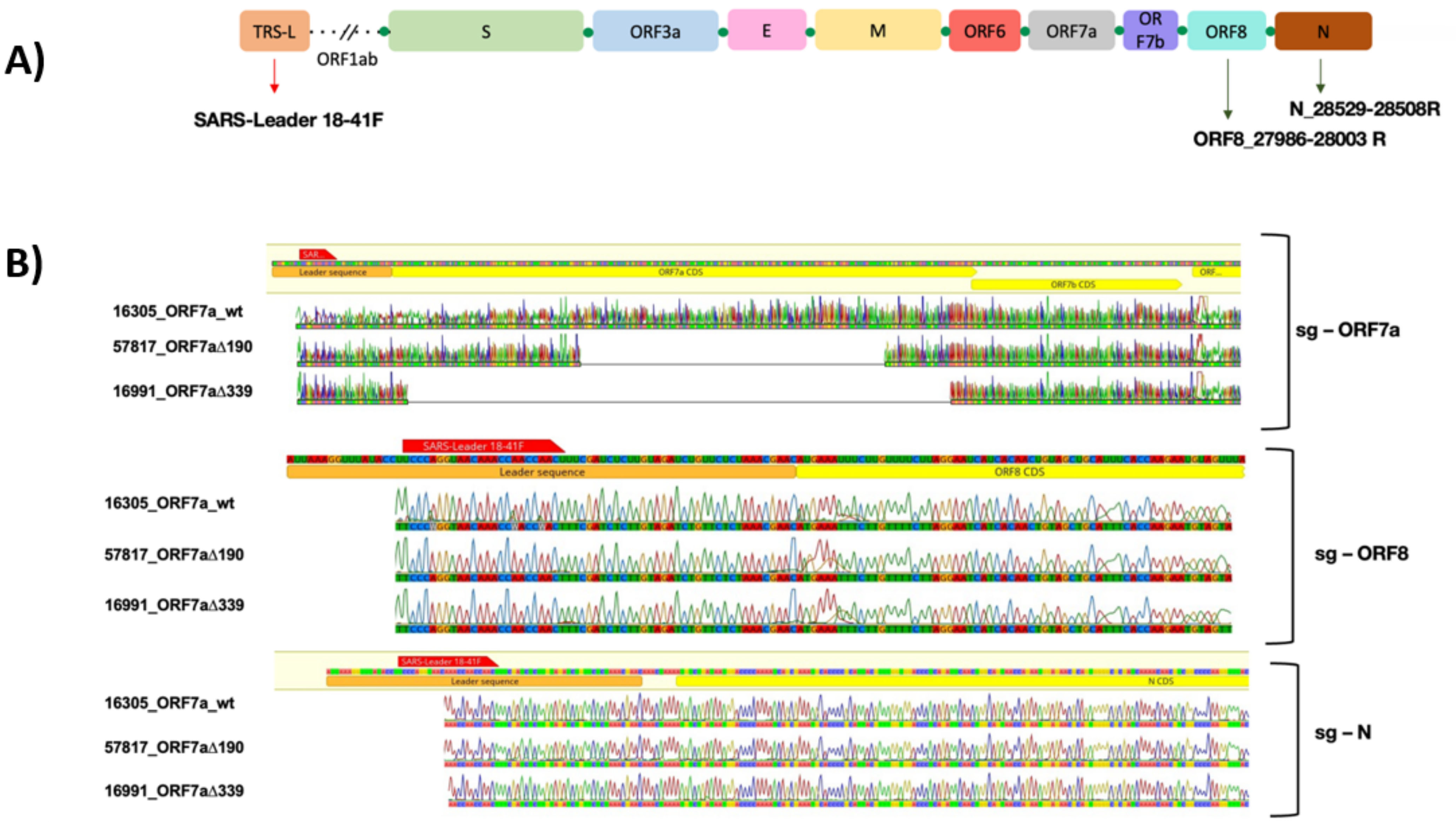Viruses 15 00801 g003