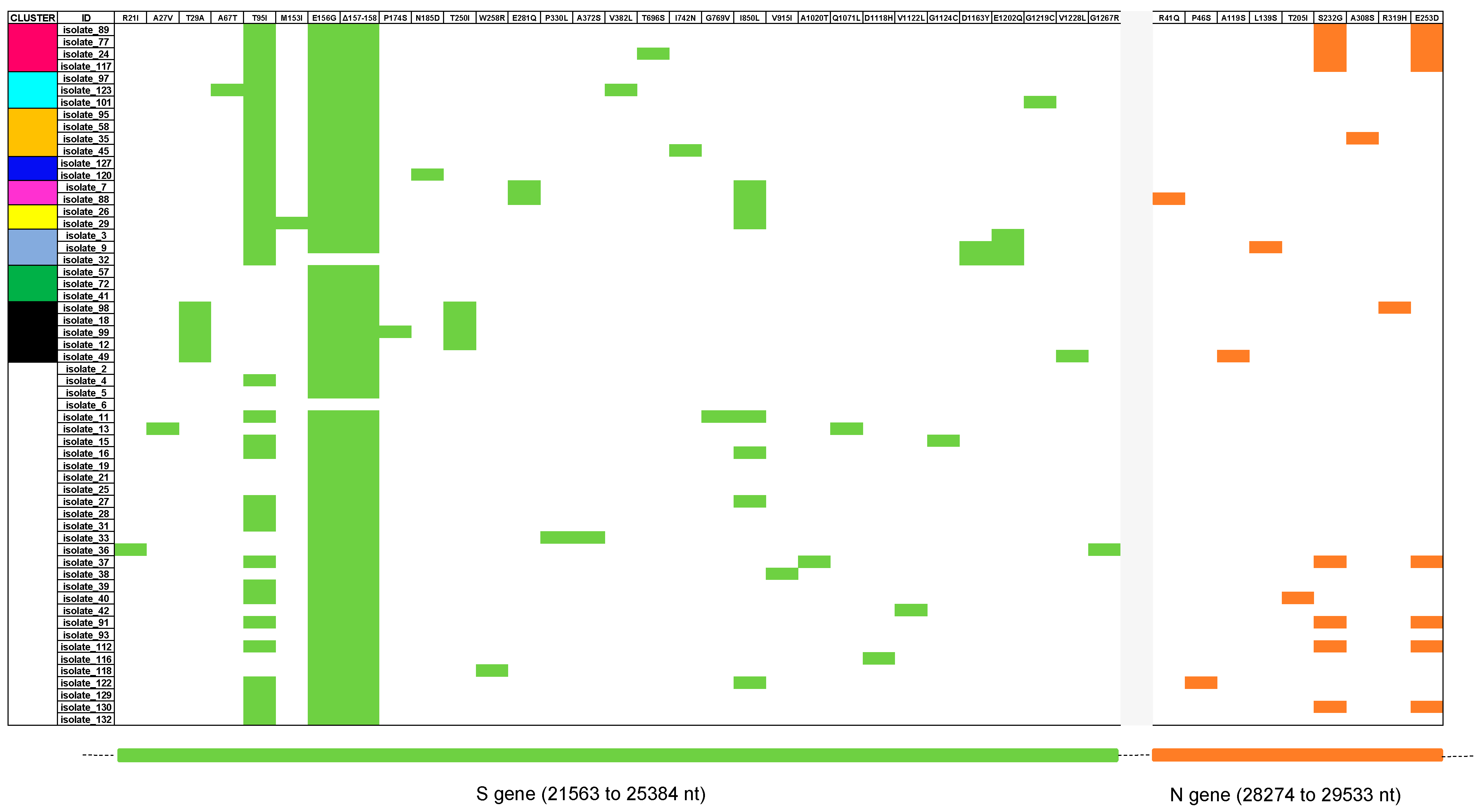 Viruses 15 00802 g001