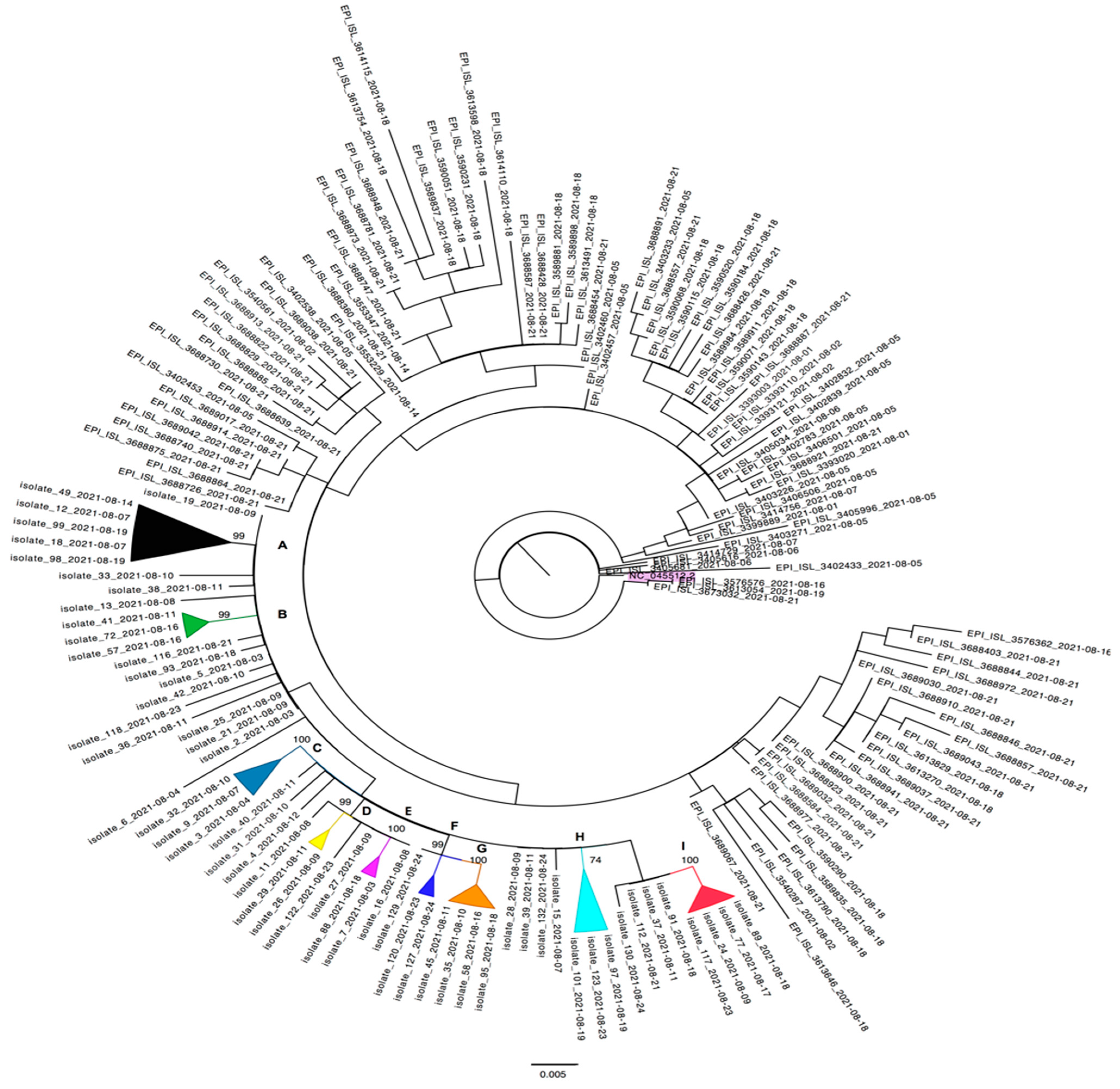Viruses 15 00802 g002