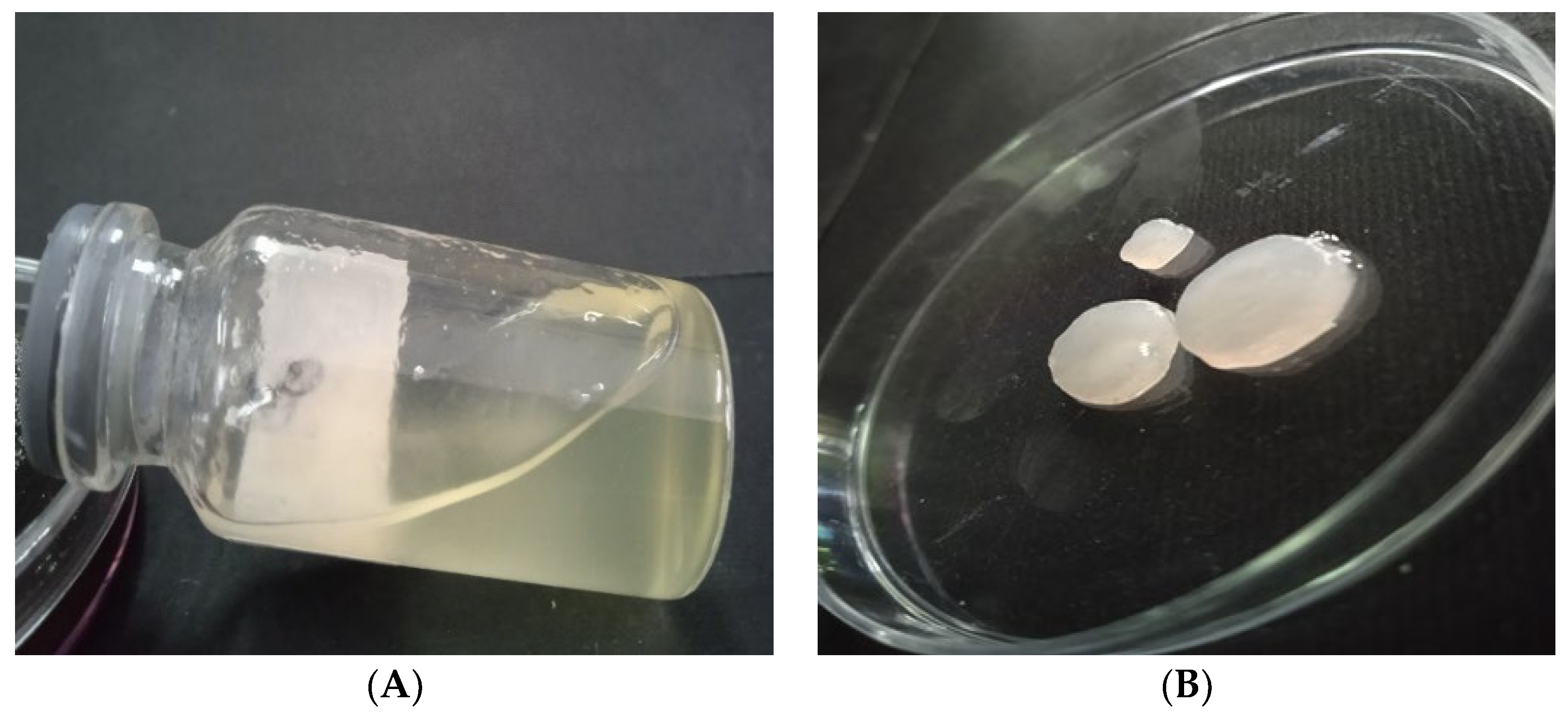 Viruses 15 00803 g004 Viruses 15 00803 g004