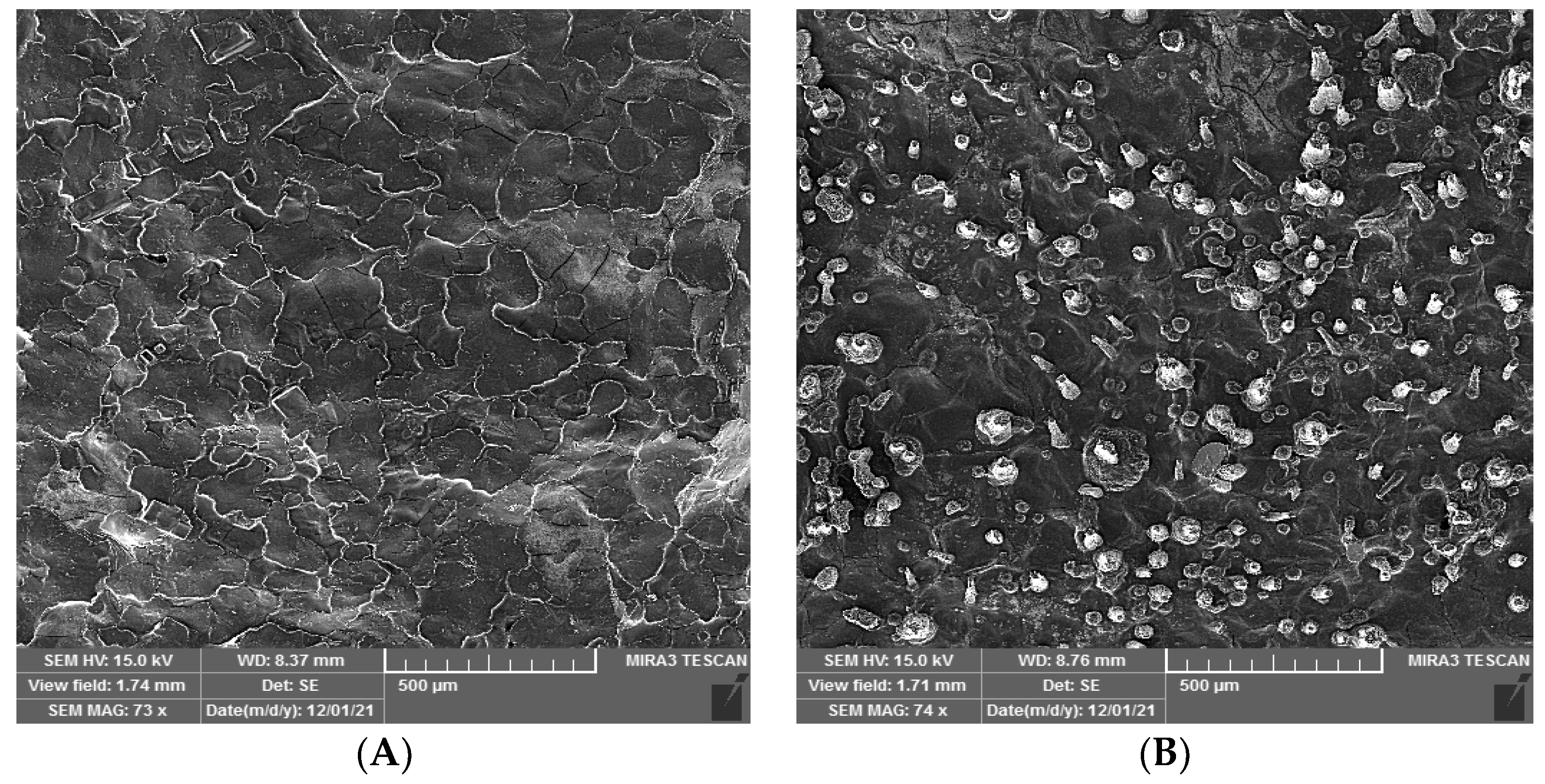 Viruses 15 00803 g008 Viruses 15 00803 g008