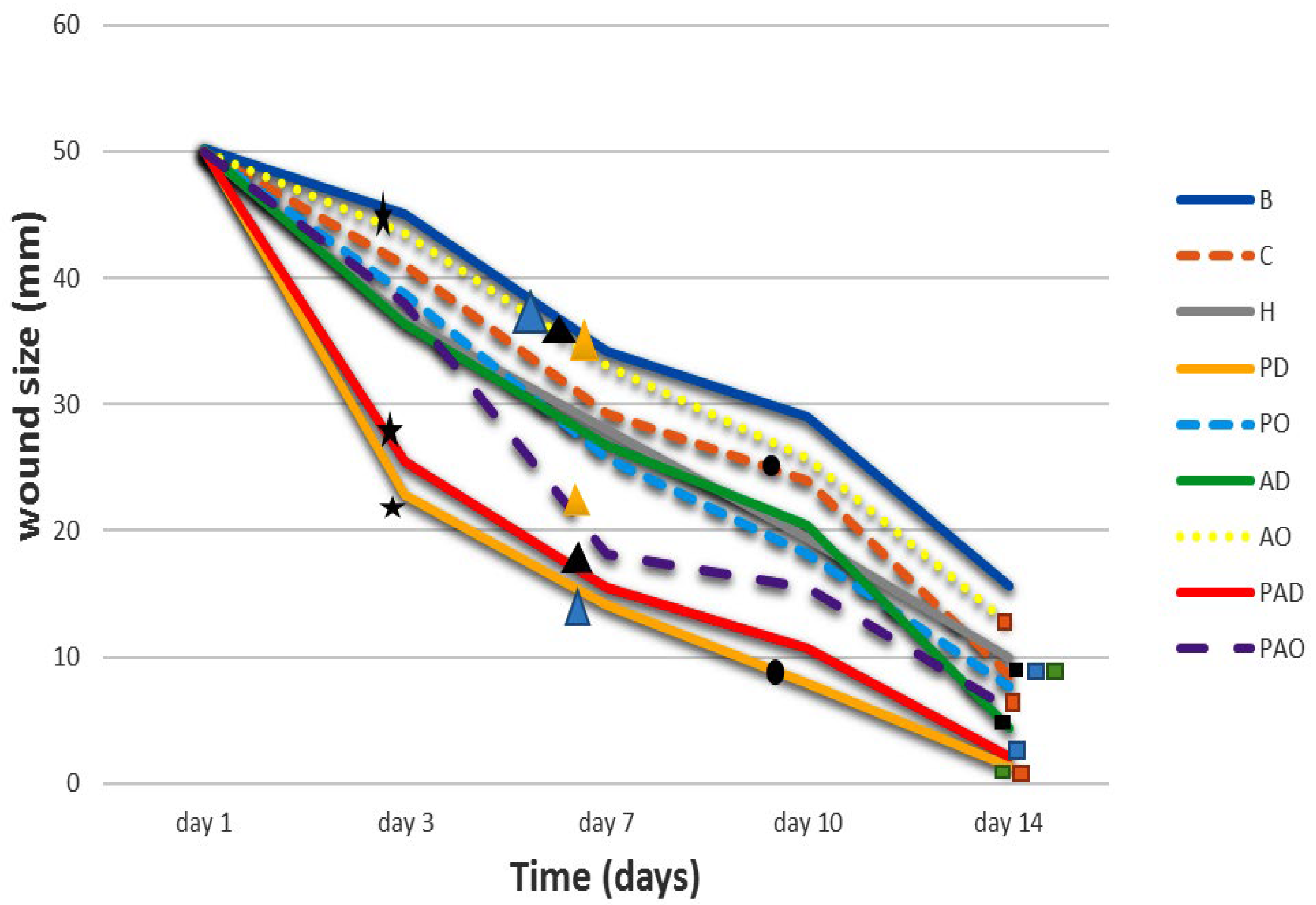 Viruses 15 00803 g014 Viruses 15 00803 g014