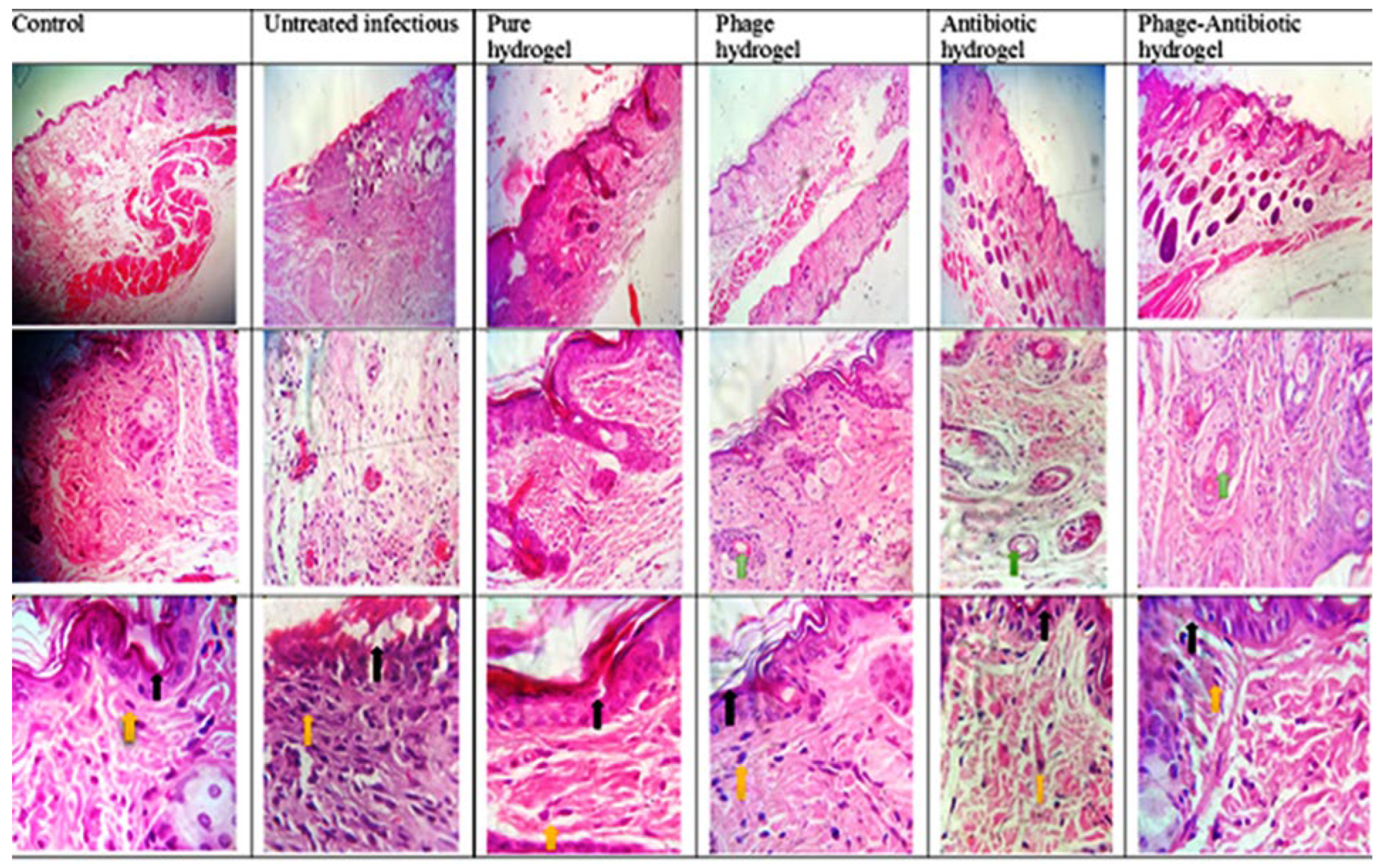 Viruses 15 00803 g015 Viruses 15 00803 g015