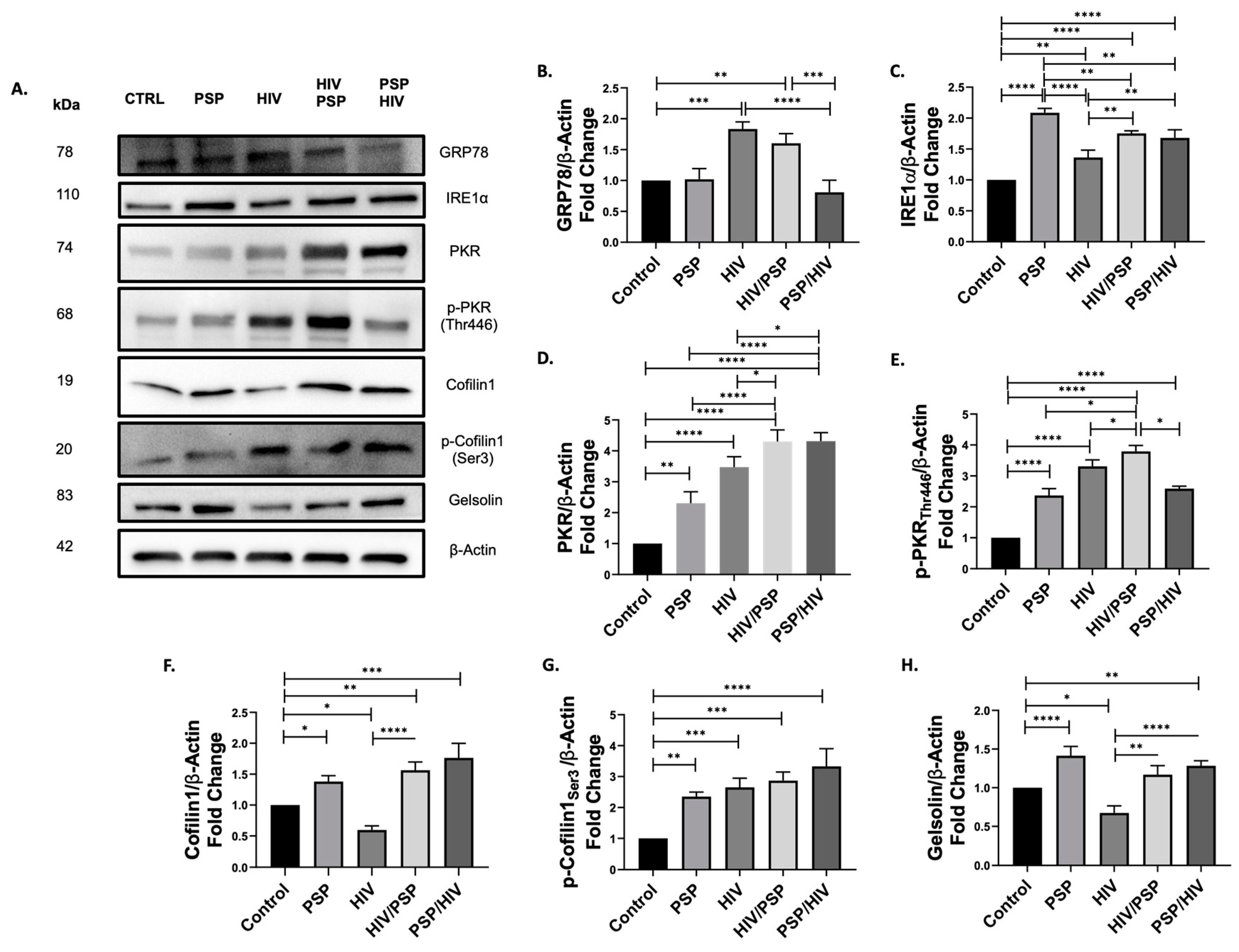Viruses 15 00804 g004 Viruses 15 00804 g004