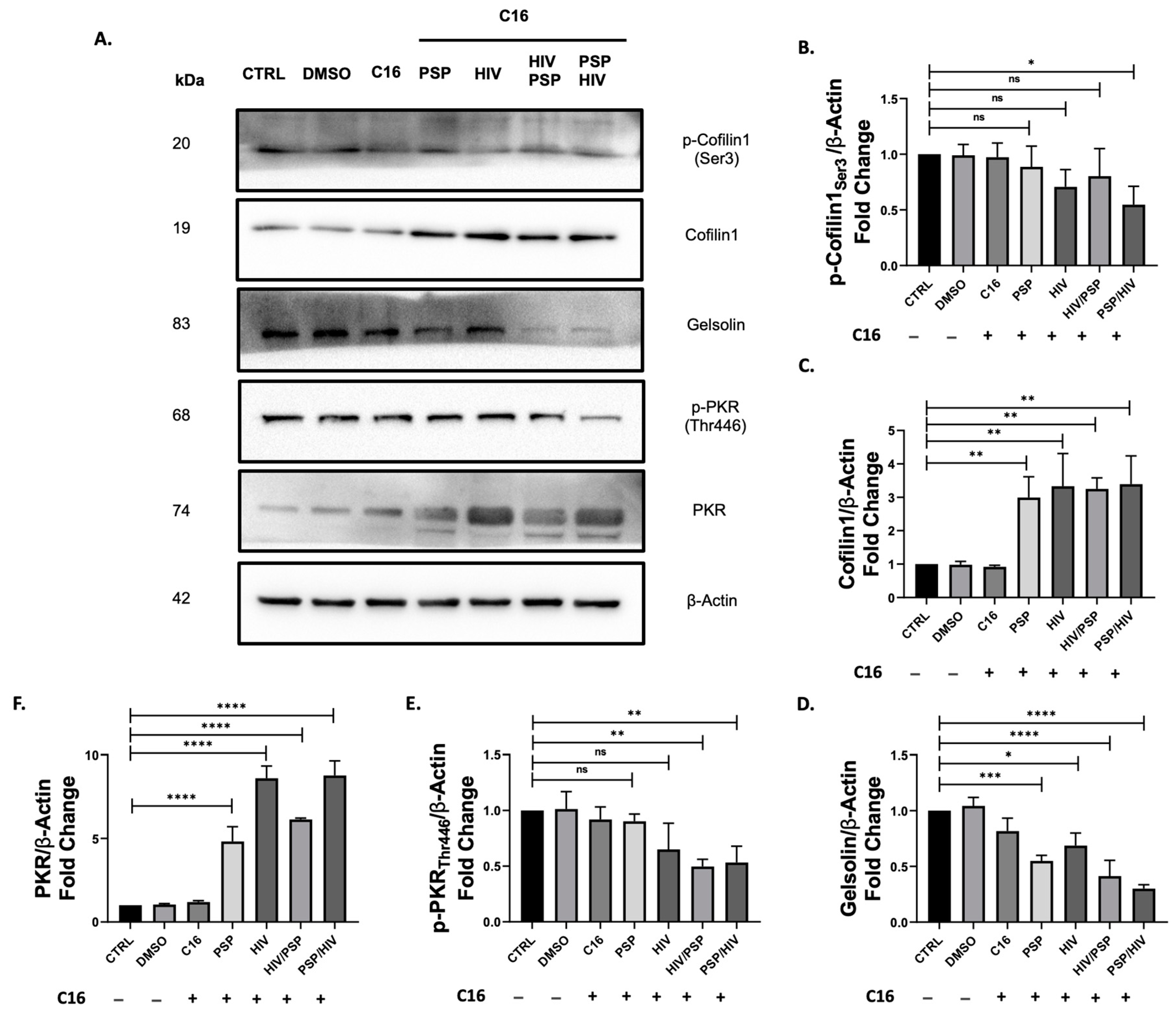 Viruses 15 00804 g005 Viruses 15 00804 g005