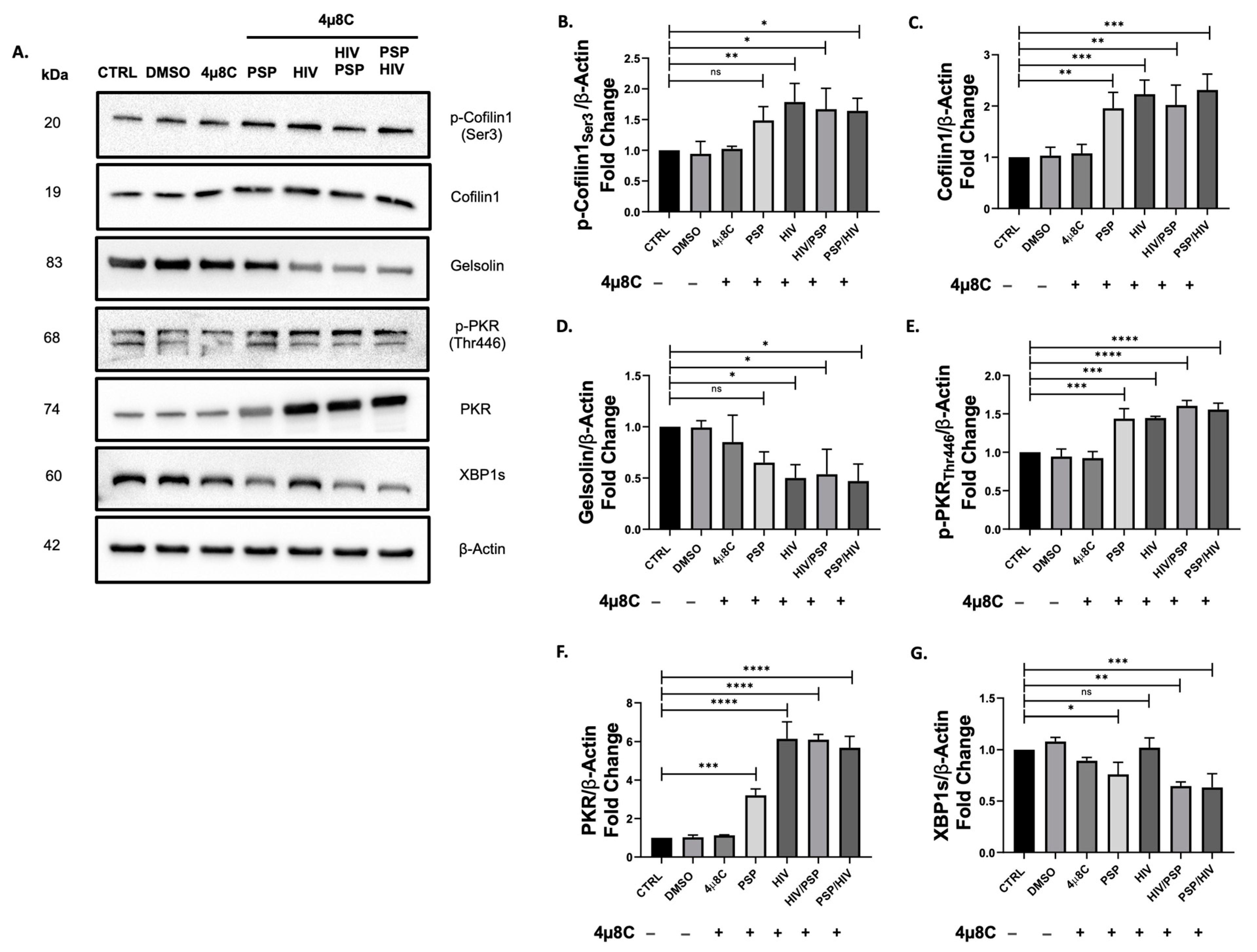 Viruses 15 00804 g006 Viruses 15 00804 g006