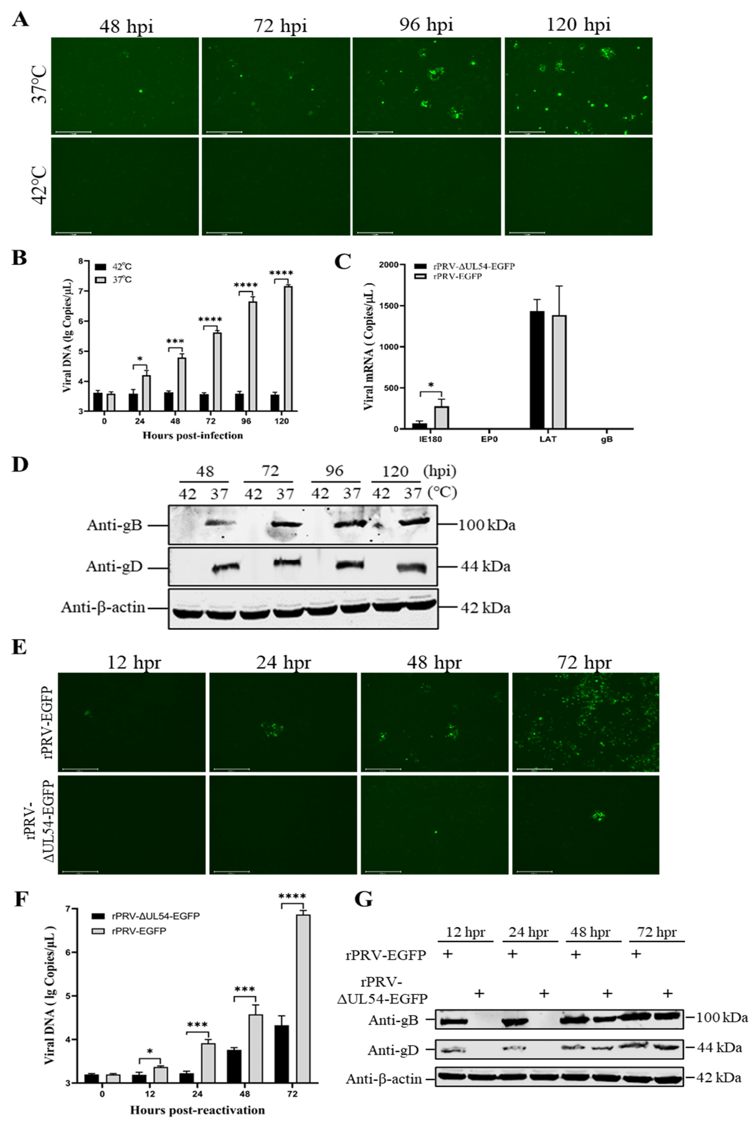 Viruses 15 00808 g006