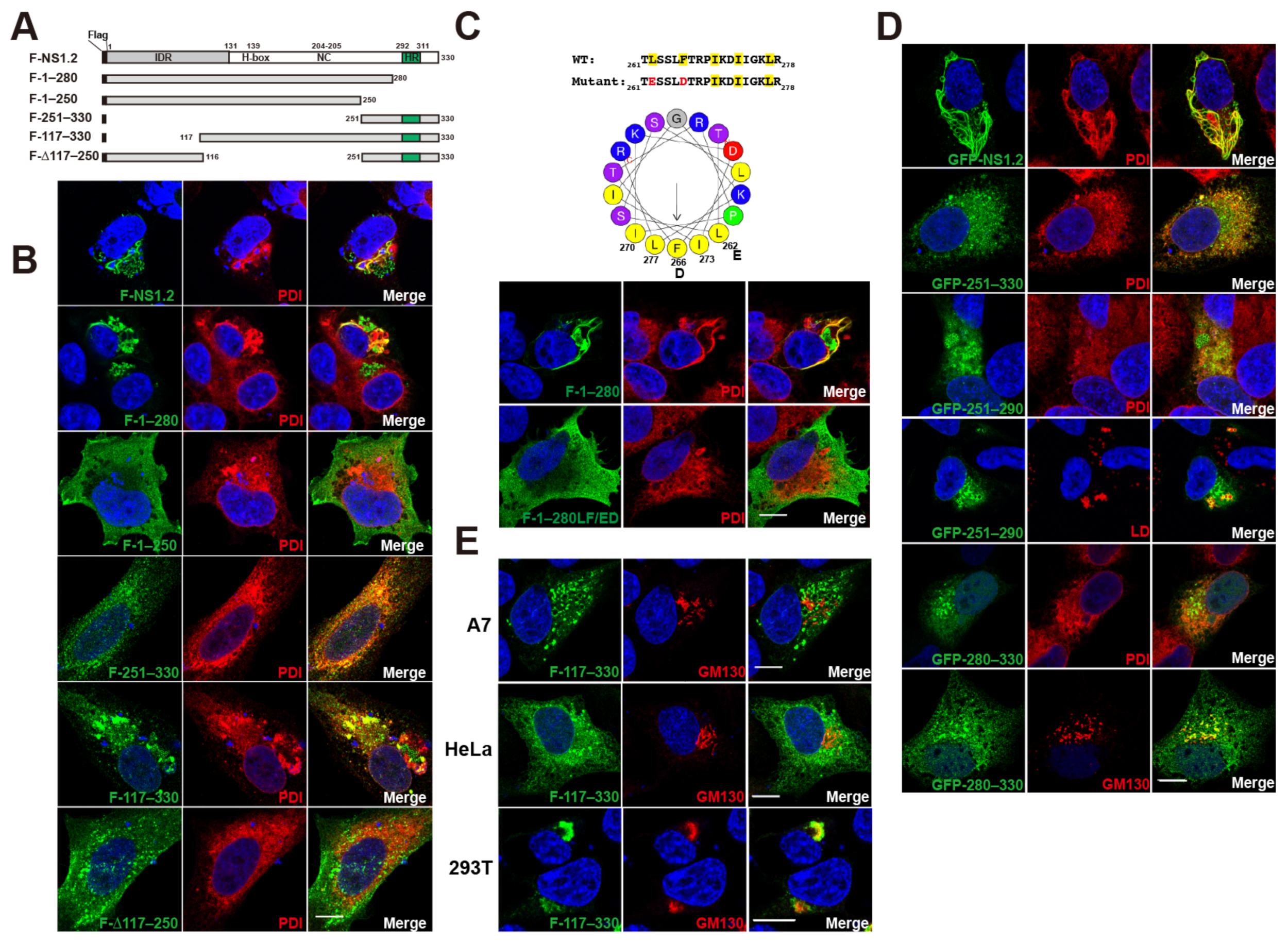 Viruses 15 00812 g001 Viruses 15 00812 g001