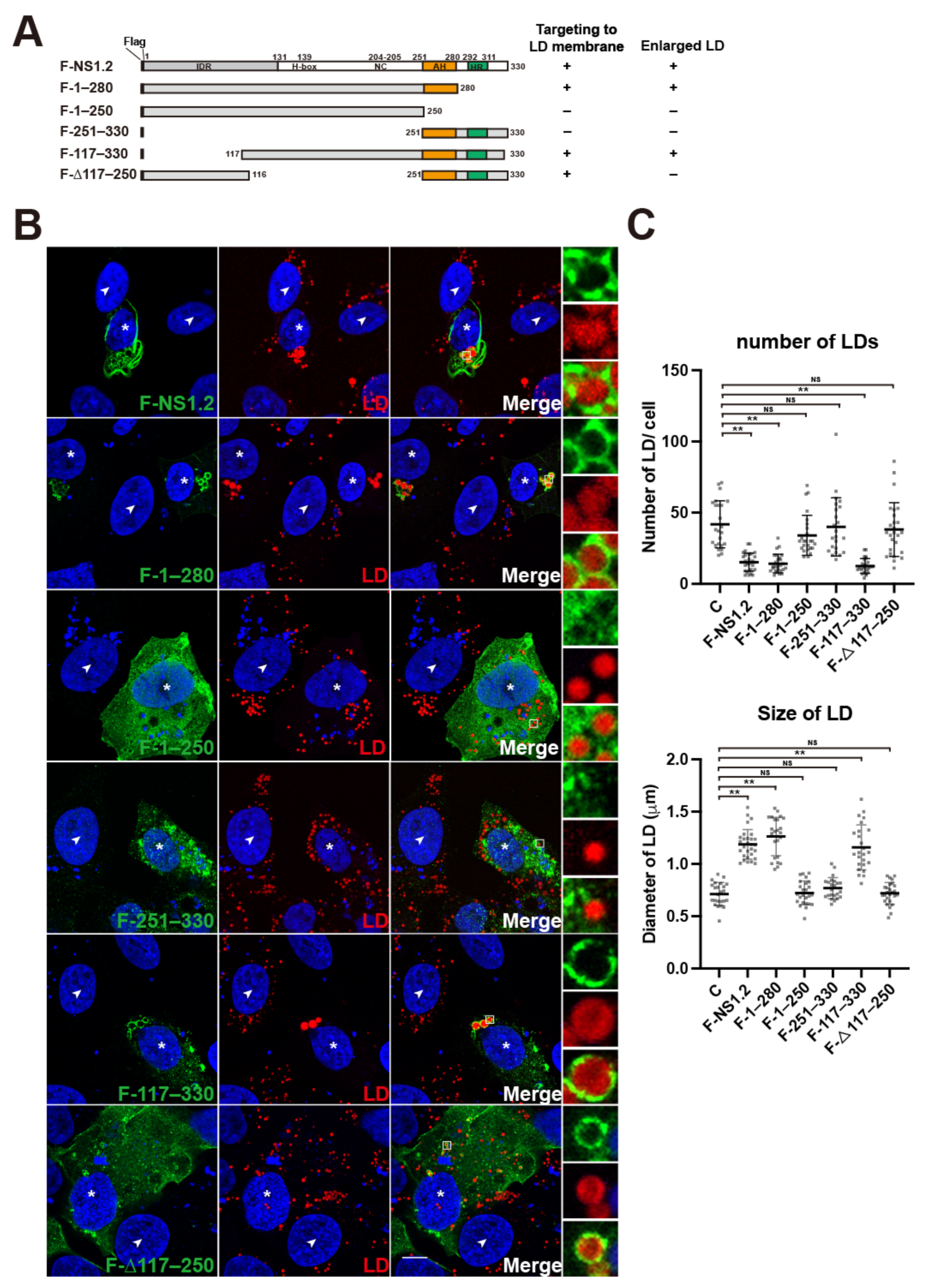 Viruses 15 00812 g002 Viruses 15 00812 g002