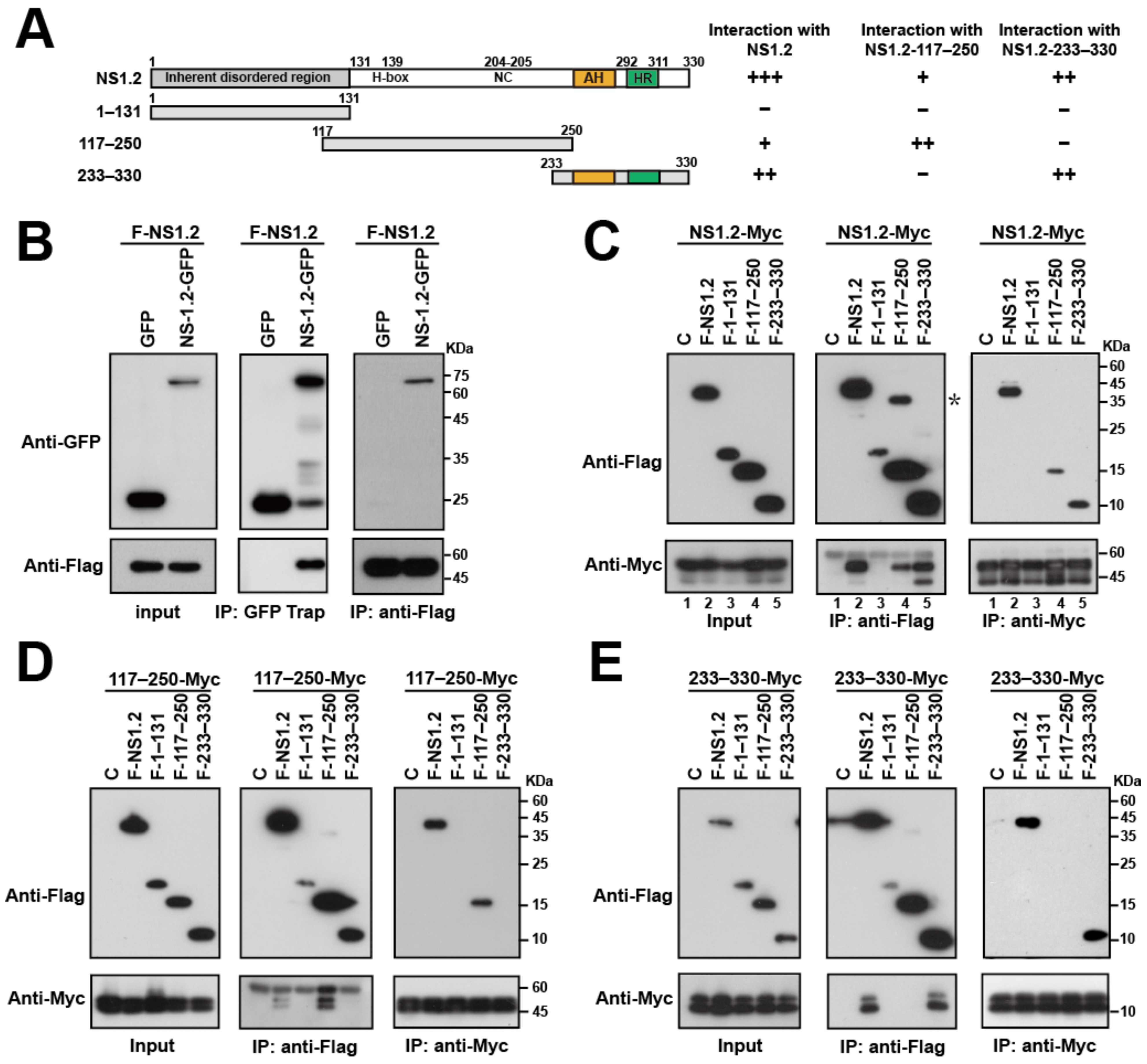 Viruses 15 00812 g004 Viruses 15 00812 g004