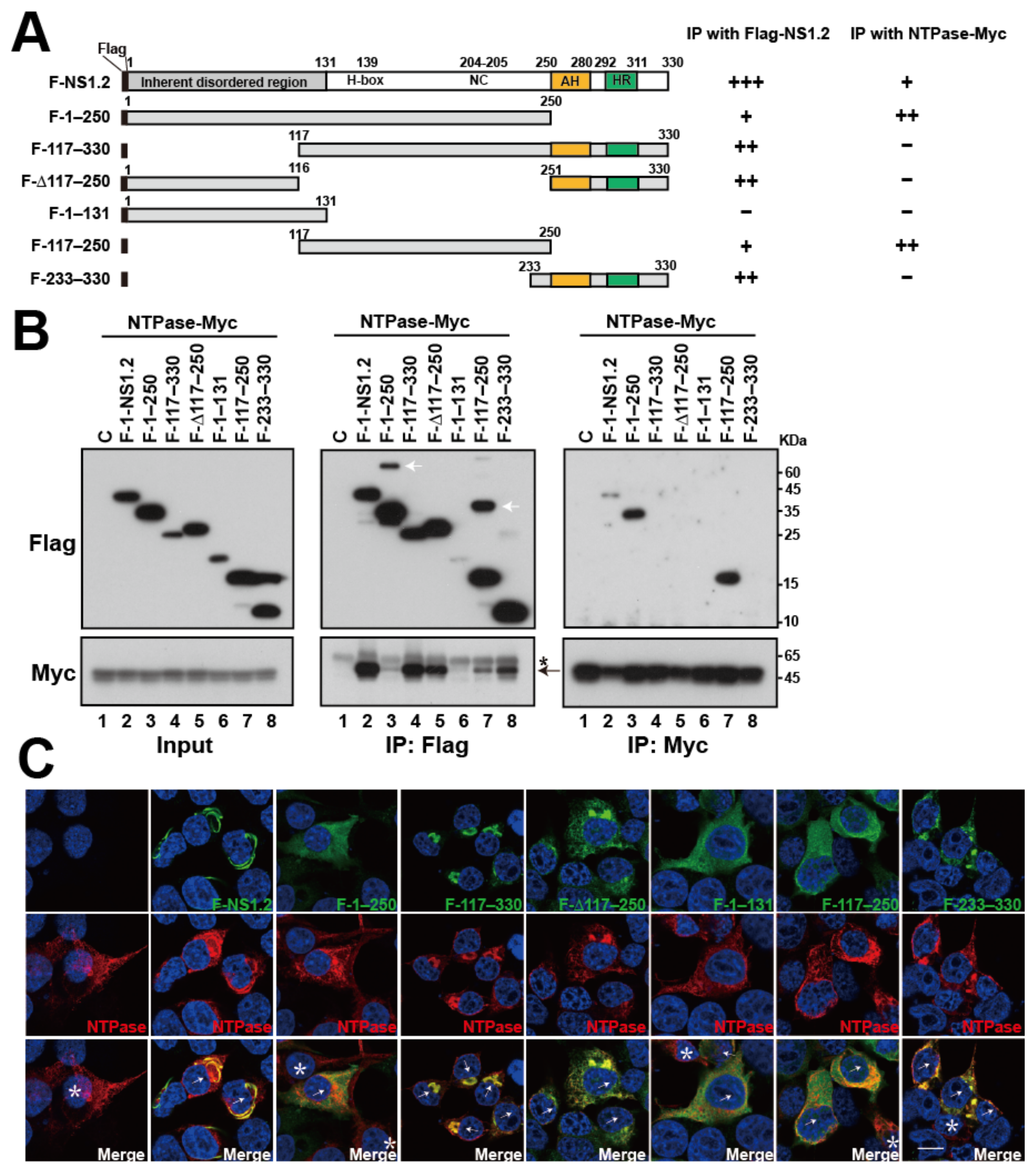 Viruses 15 00812 g007 Viruses 15 00812 g007