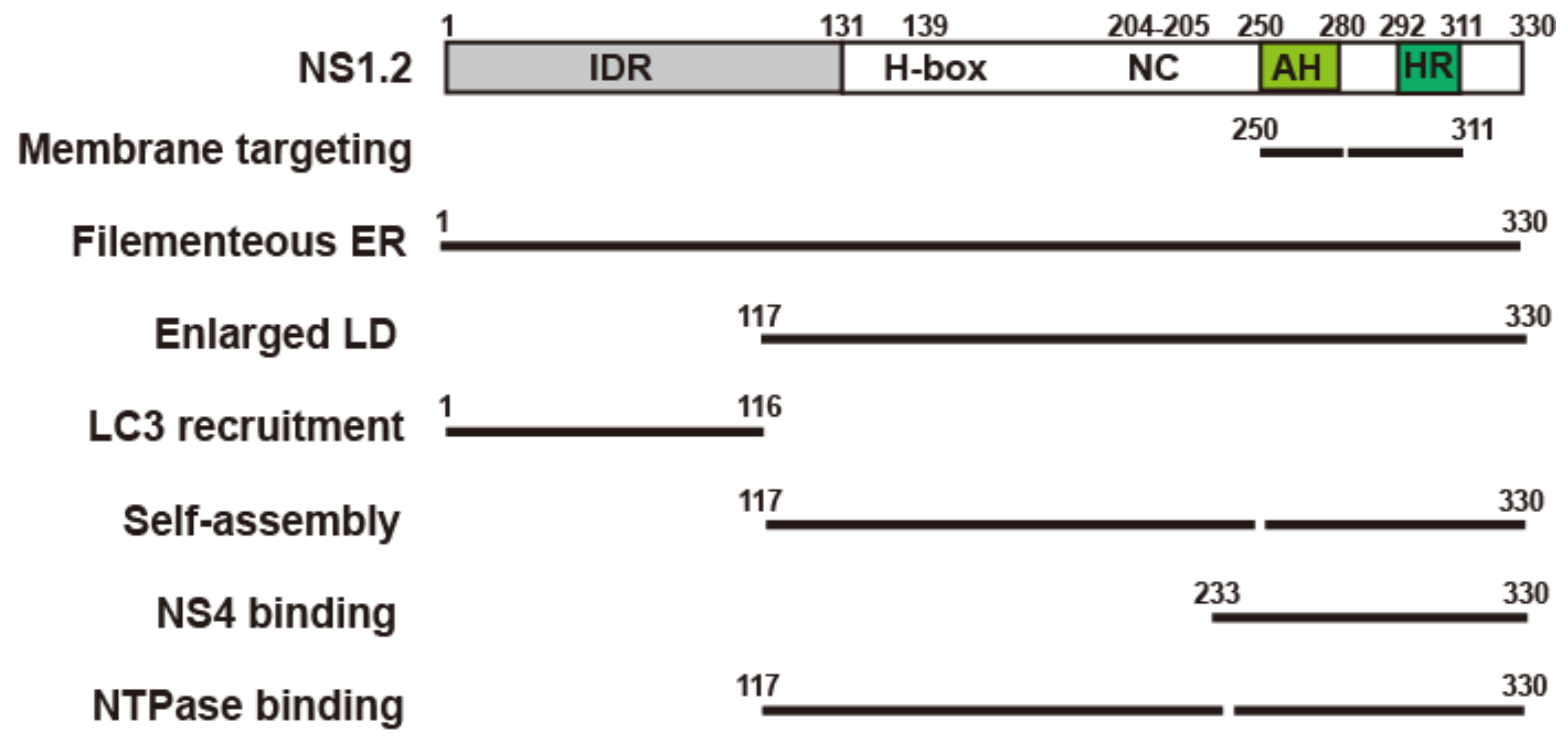 Viruses 15 00812 g008 Viruses 15 00812 g008