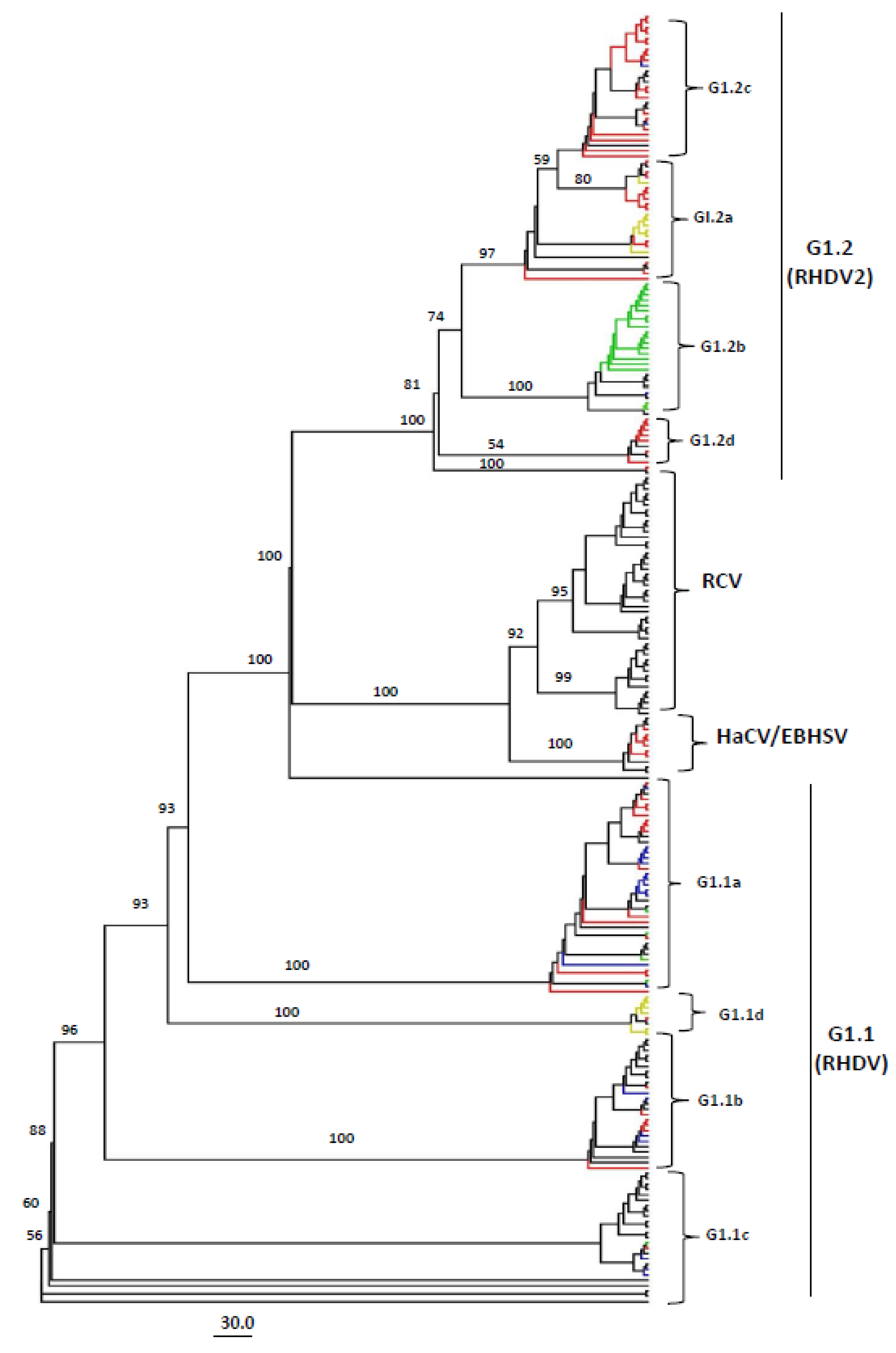 Viruses 15 00815 g003 Viruses 15 00815 g003