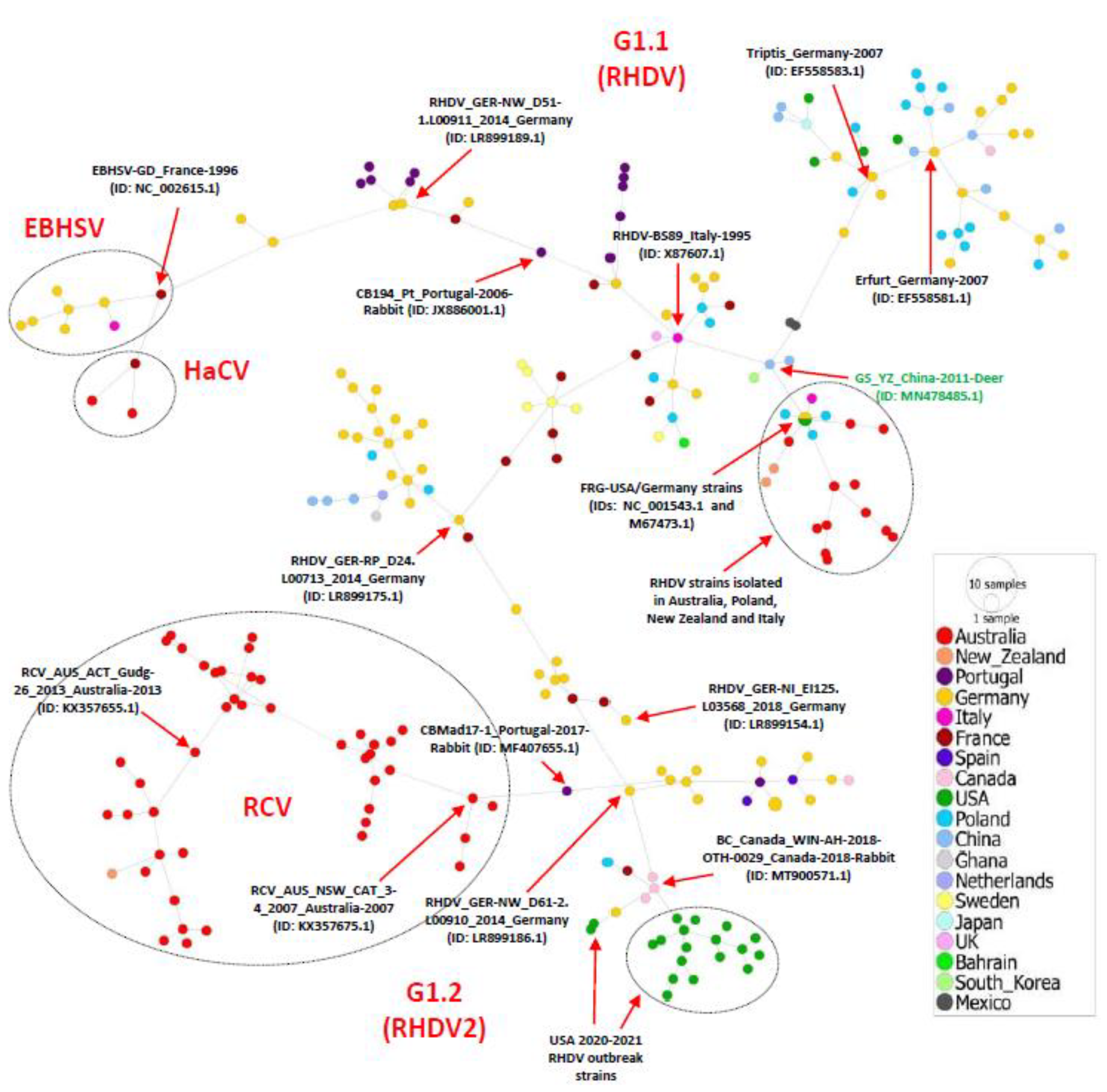 Viruses 15 00815 g004 Viruses 15 00815 g004