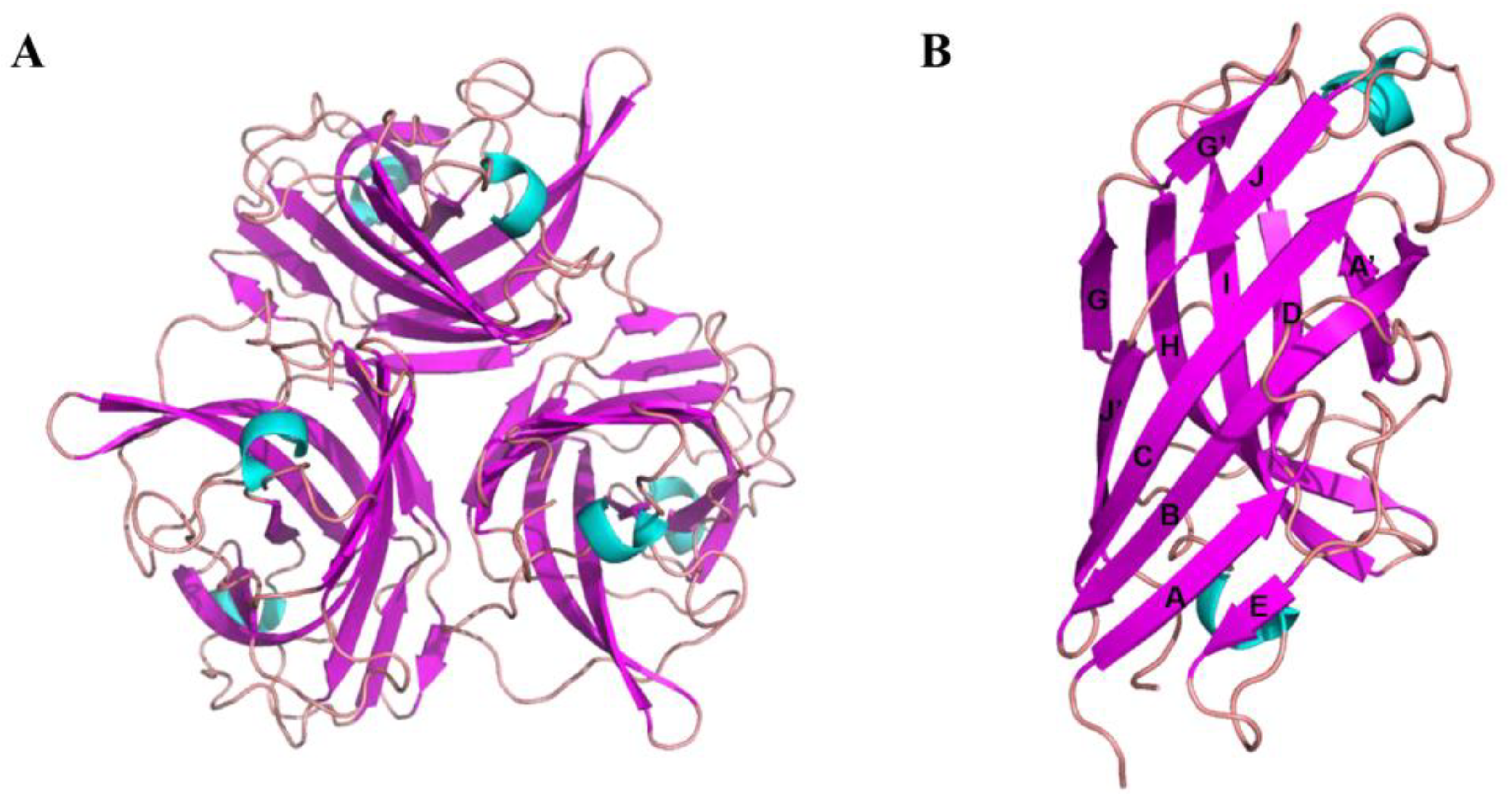 Viruses 15 00821 g002 Viruses 15 00821 g002