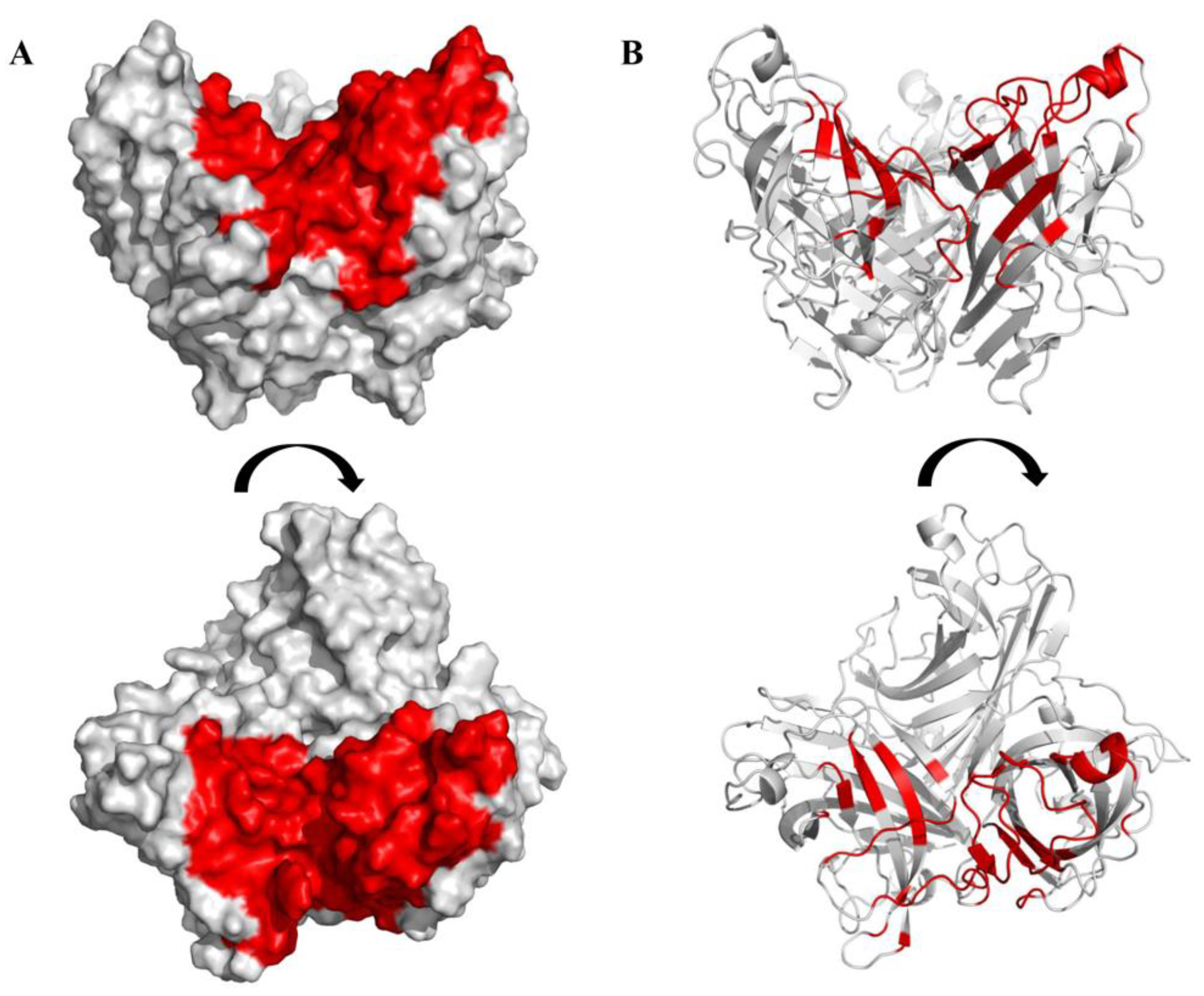 Viruses 15 00821 g003 Viruses 15 00821 g003