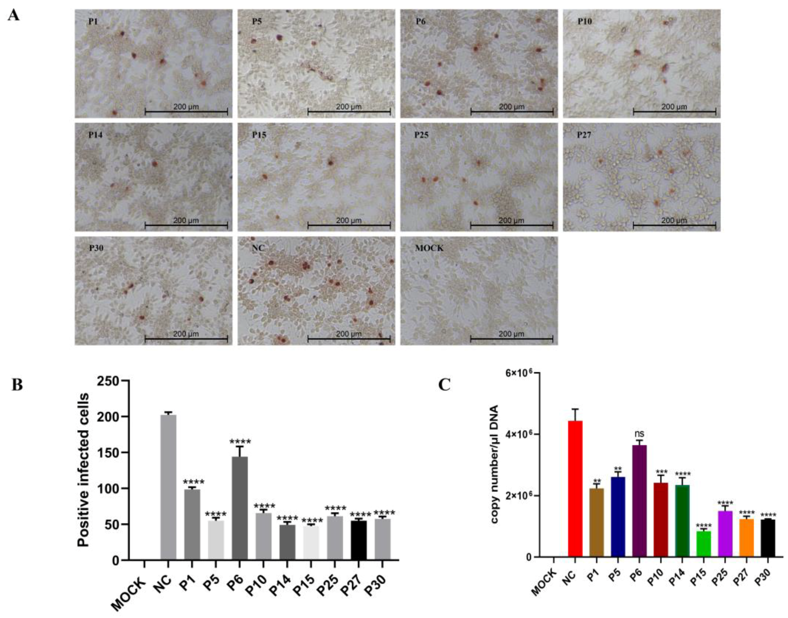 Viruses 15 00821 g004 Viruses 15 00821 g004