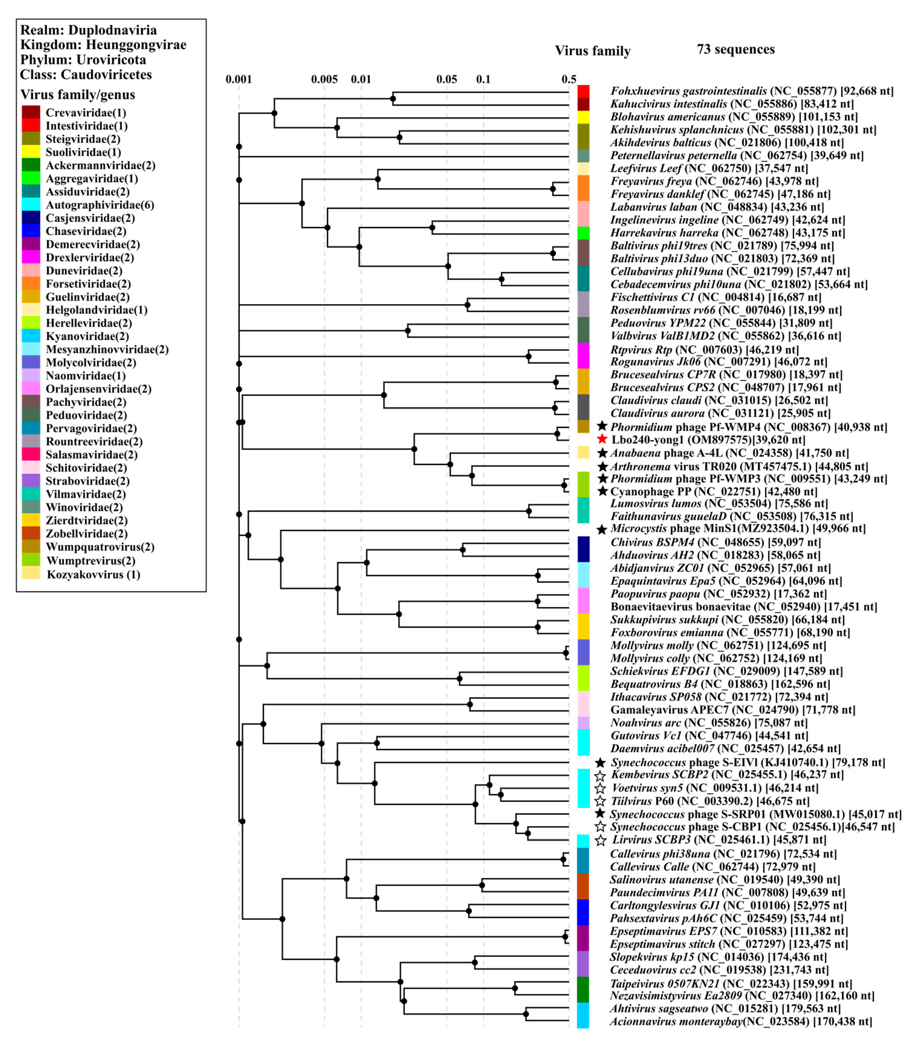 Viruses 15 00831 g004