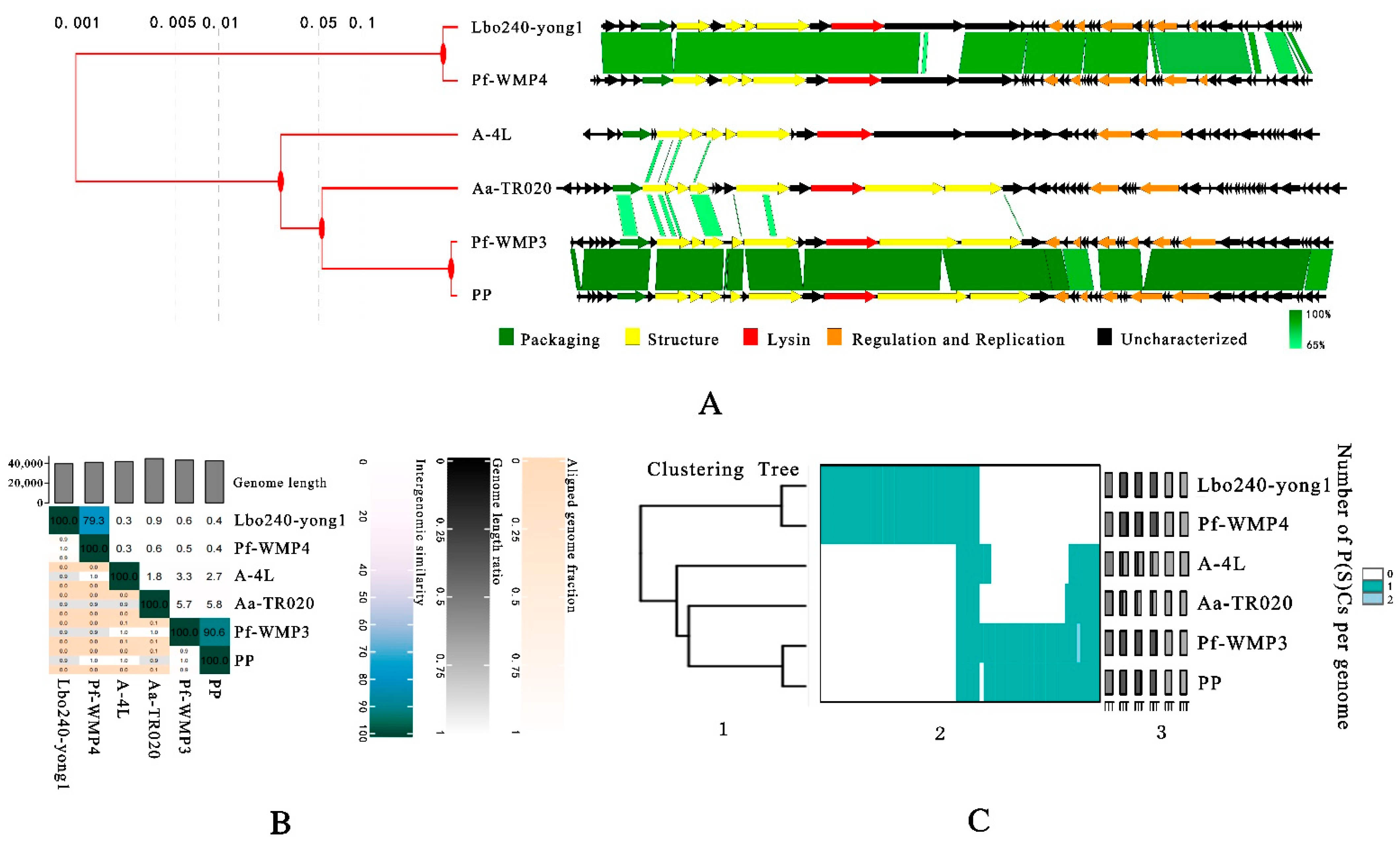Viruses 15 00831 g006