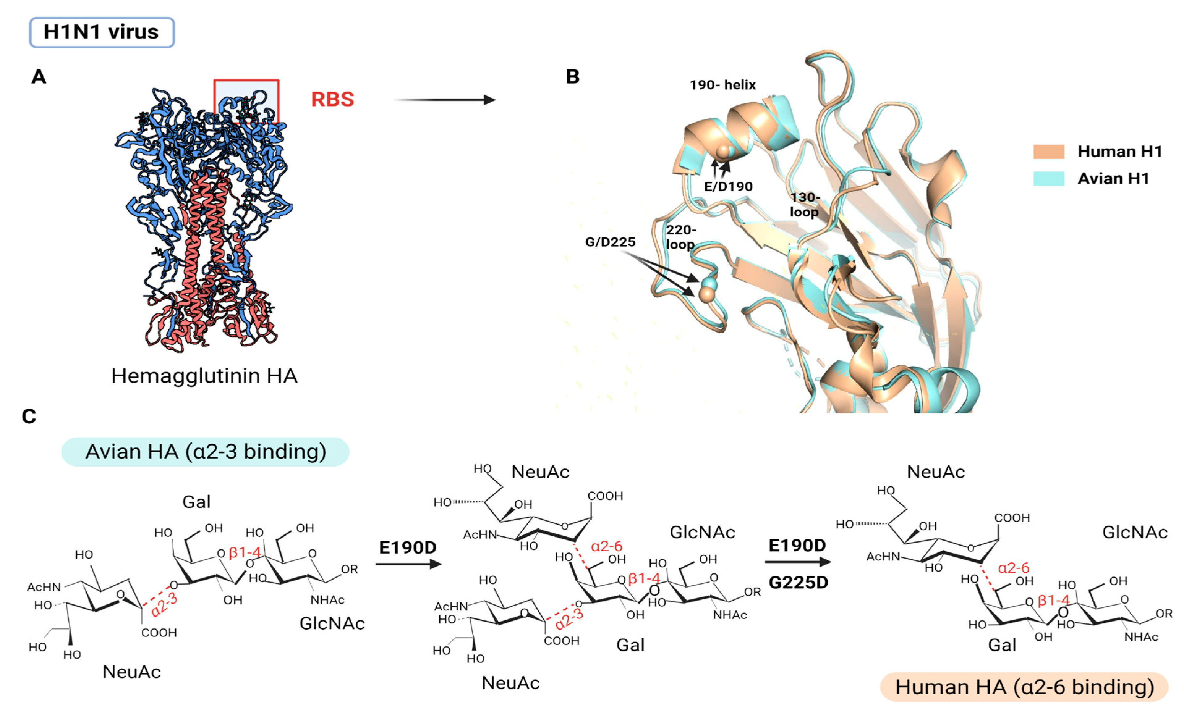 Viruses 15 00833 g004 Viruses 15 00833 g004