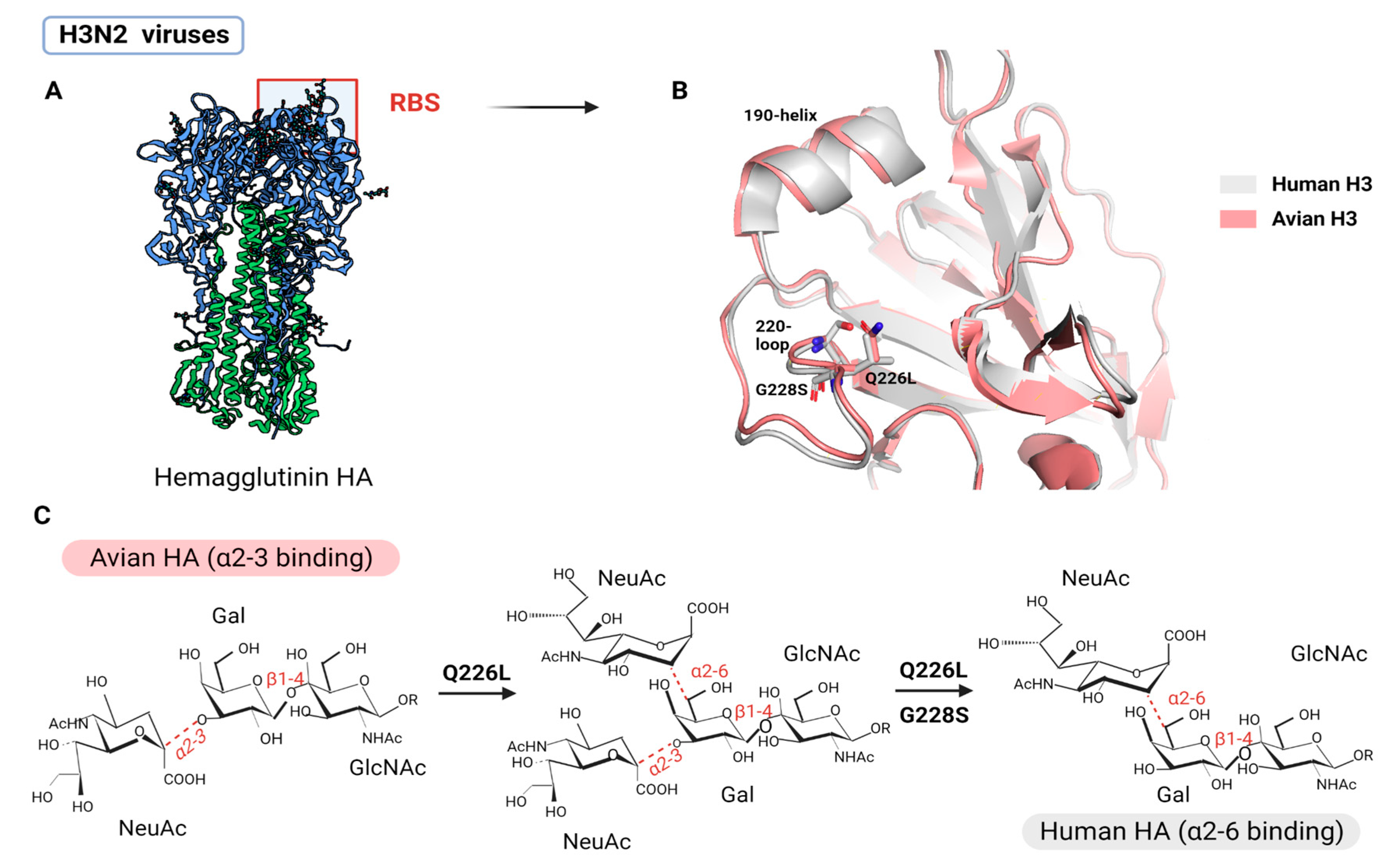 Viruses 15 00833 g005 Viruses 15 00833 g005
