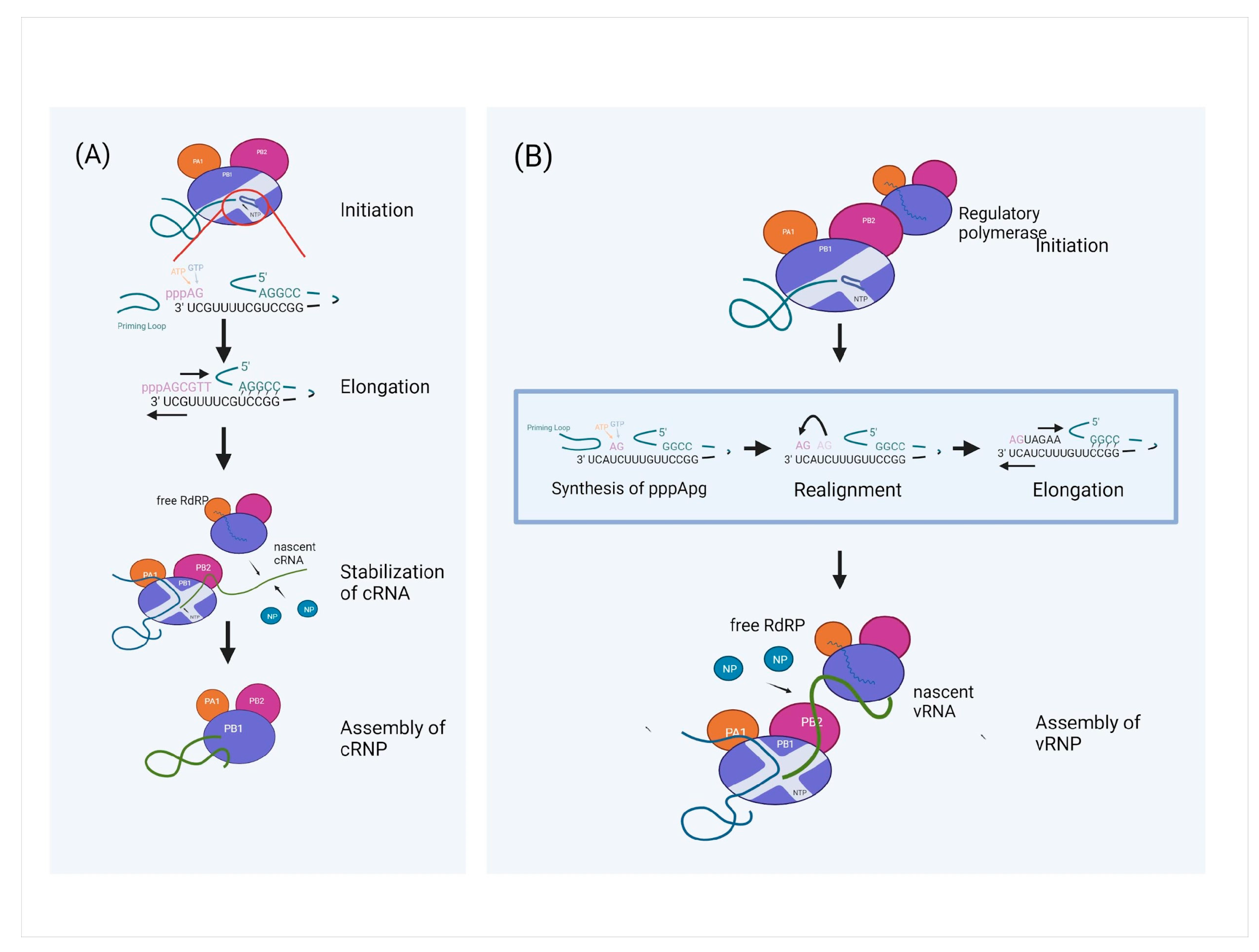 Viruses 15 00833 g006 Viruses 15 00833 g006