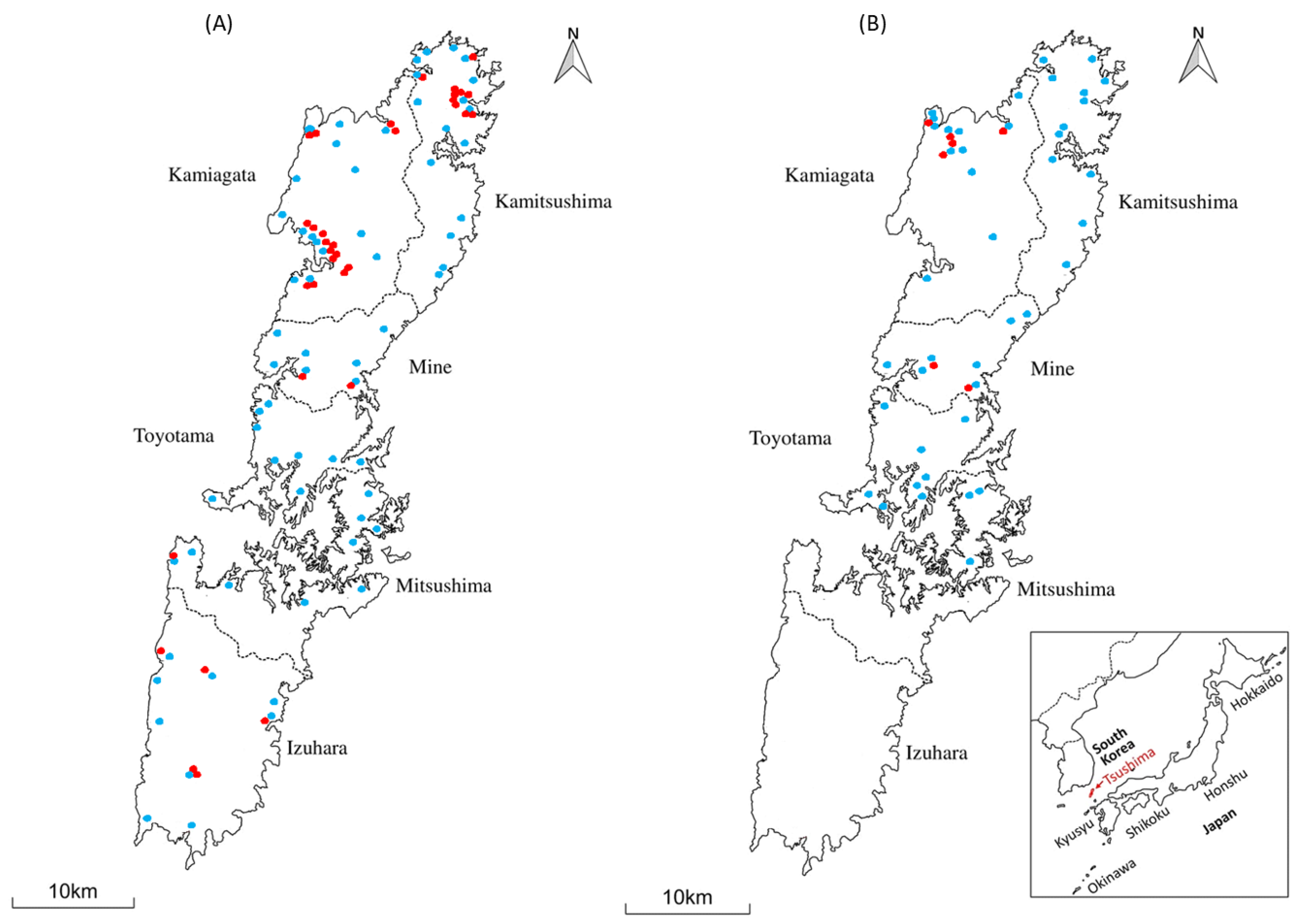 Viruses 15 00835 g001