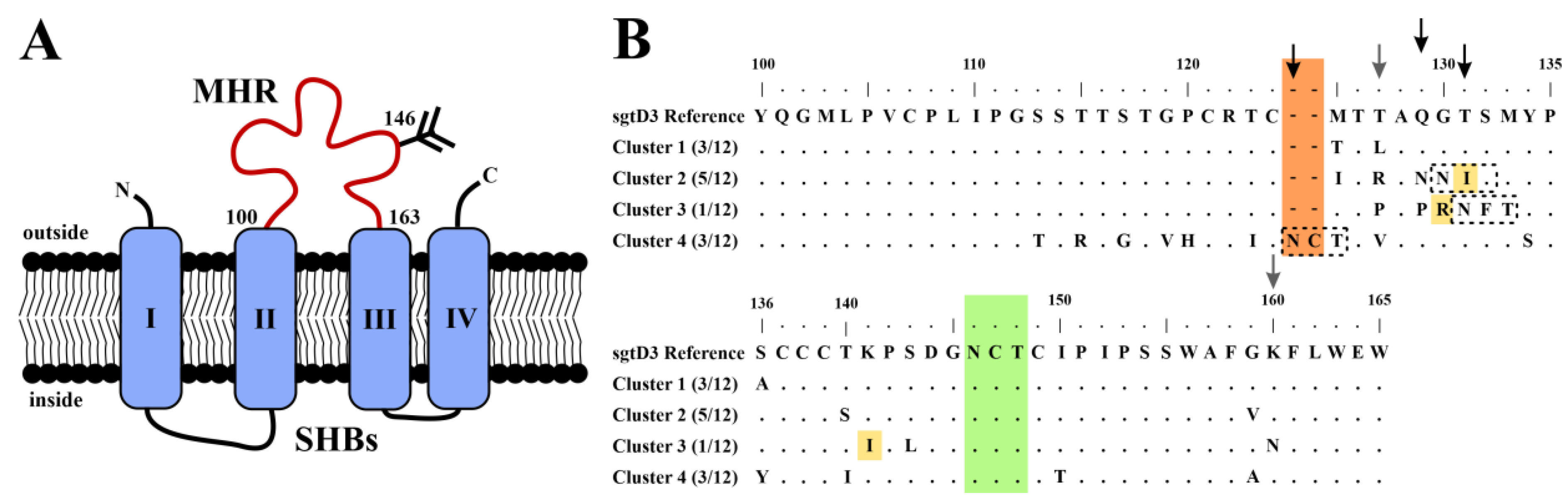 Viruses 15 00838 g001 Viruses 15 00838 g001
