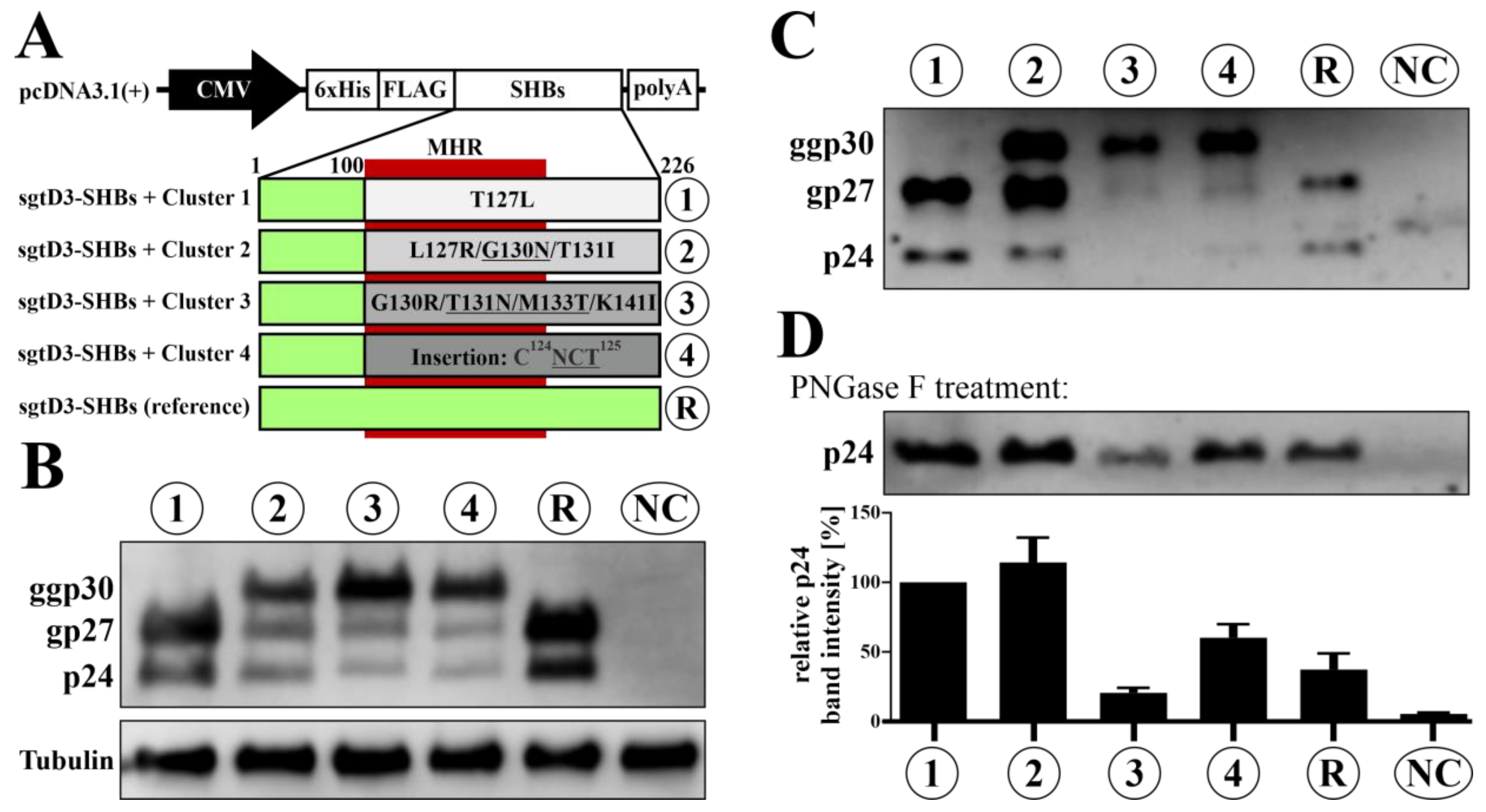 Viruses 15 00838 g002 Viruses 15 00838 g002