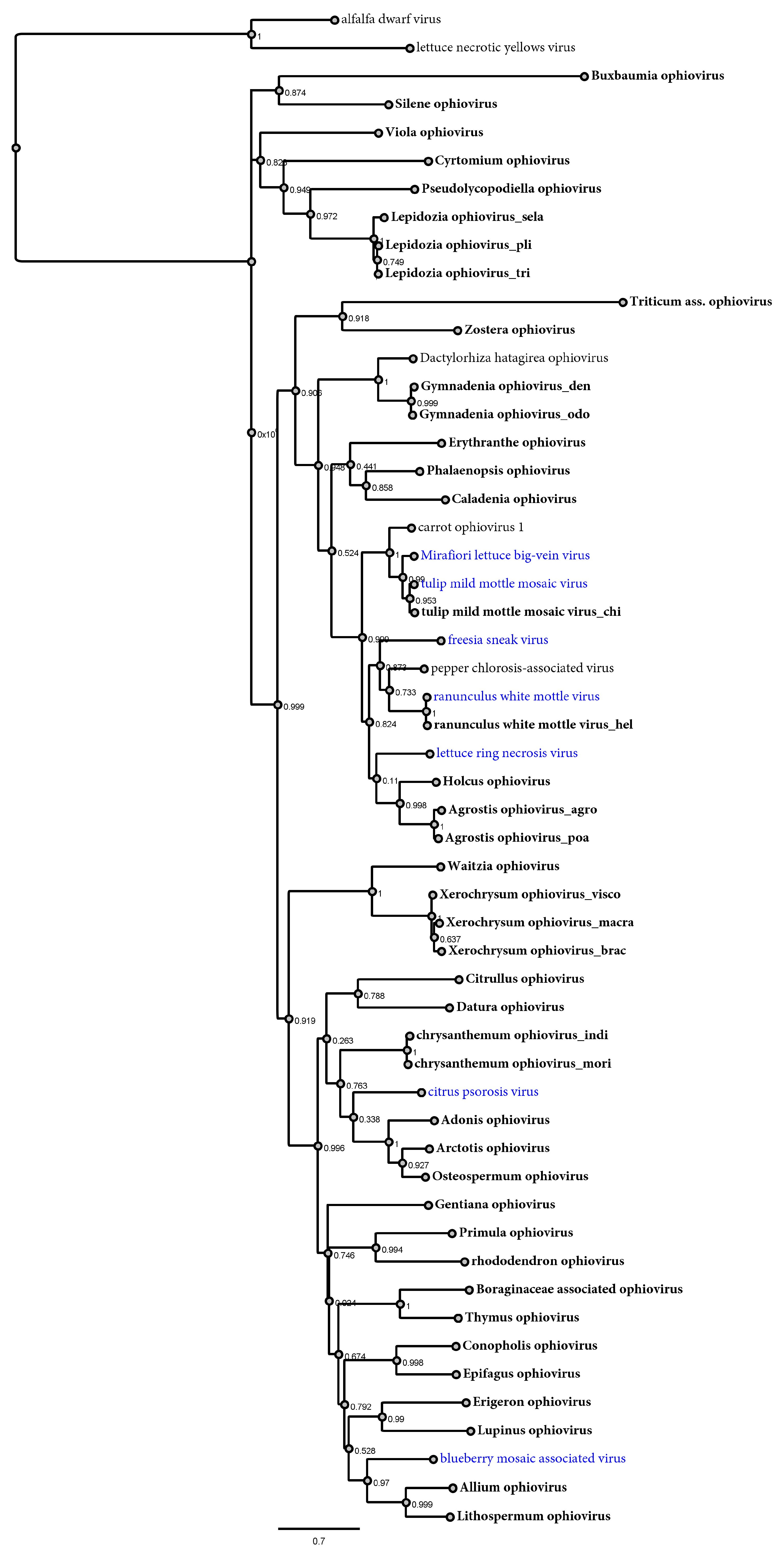 Viruses 15 00840 g002 Viruses 15 00840 g002