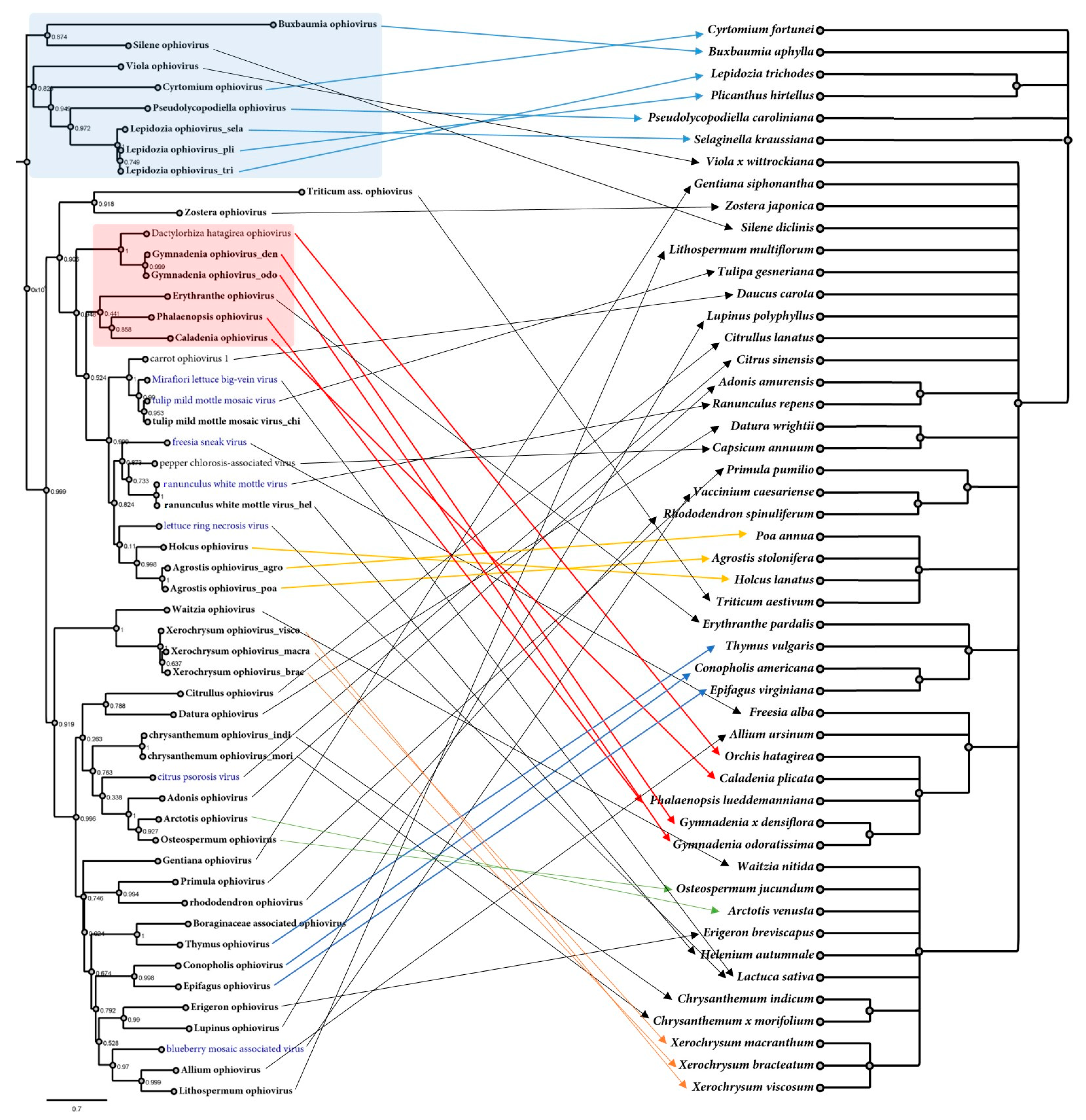 Viruses 15 00840 g003 Viruses 15 00840 g003