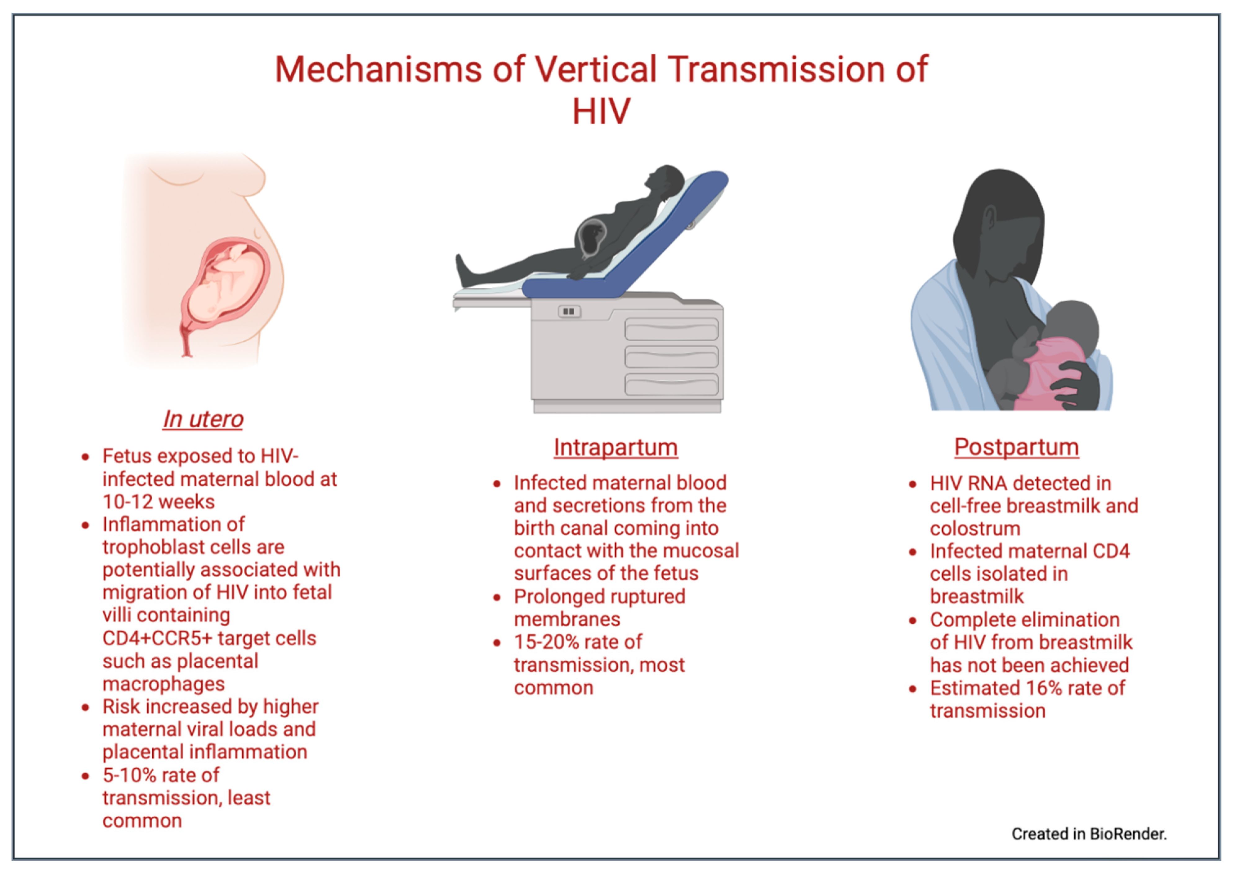 Vertical Transmission