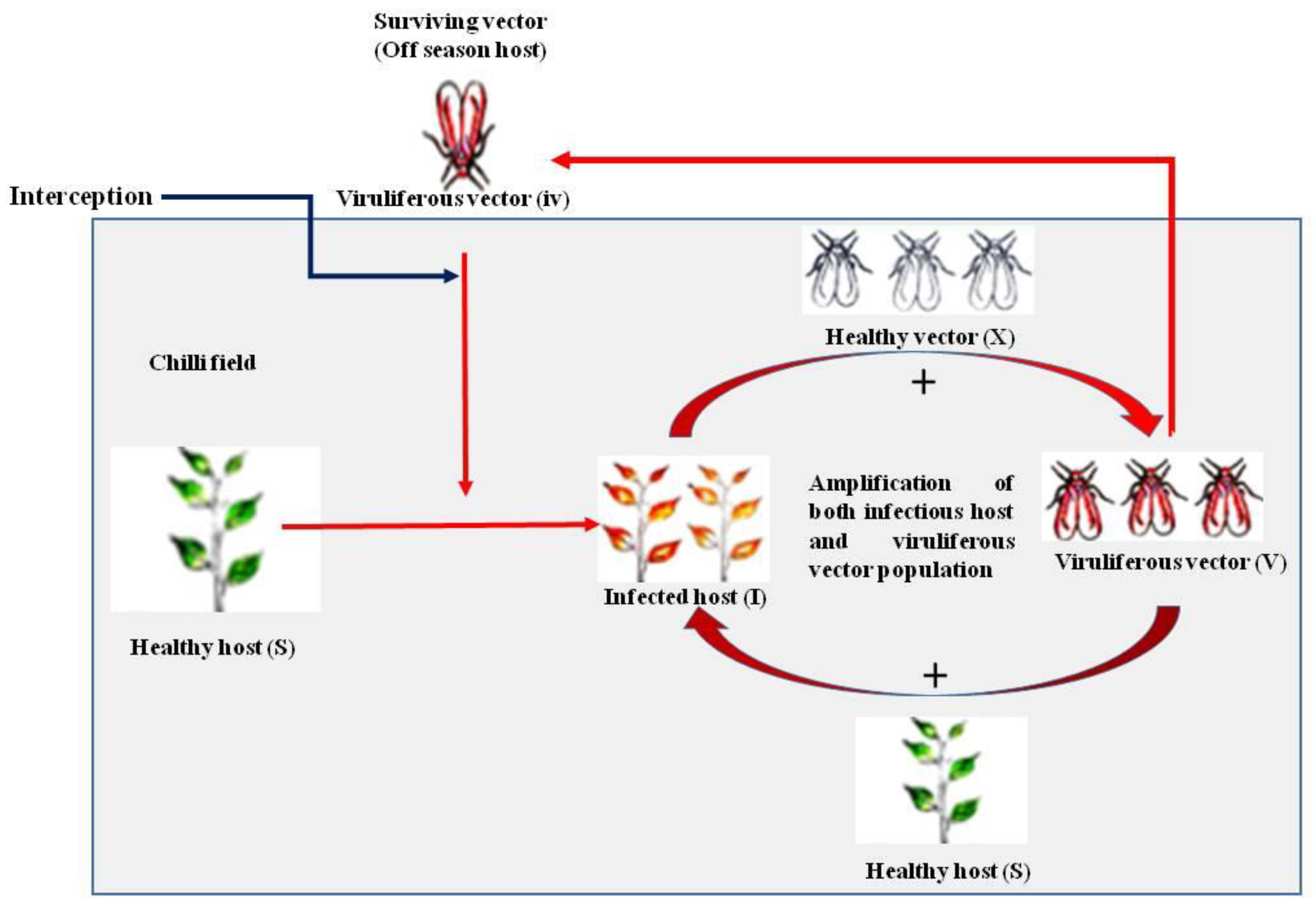 Viruses 15 00854 g004