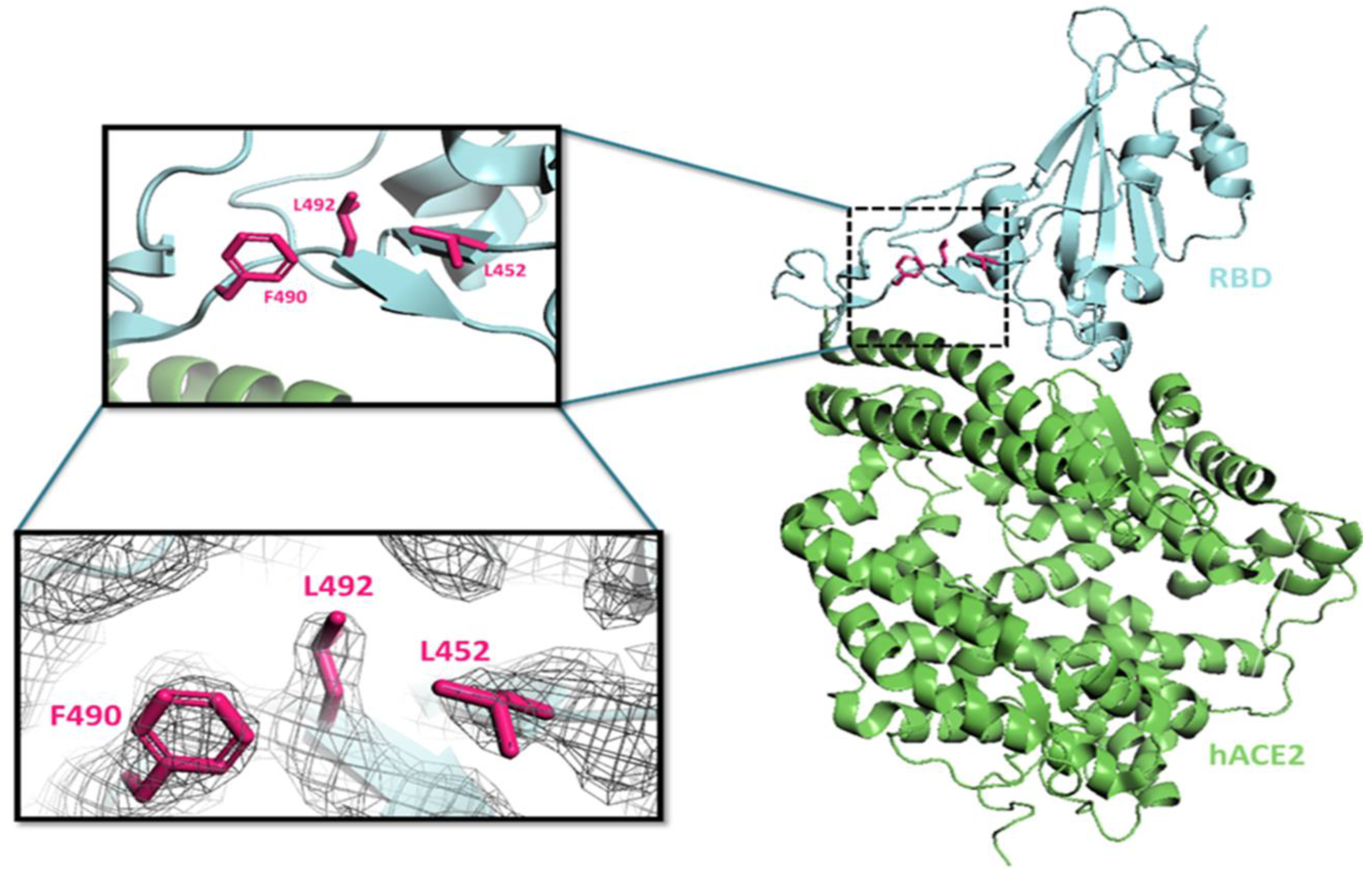 Viruses 15 00856 g008
