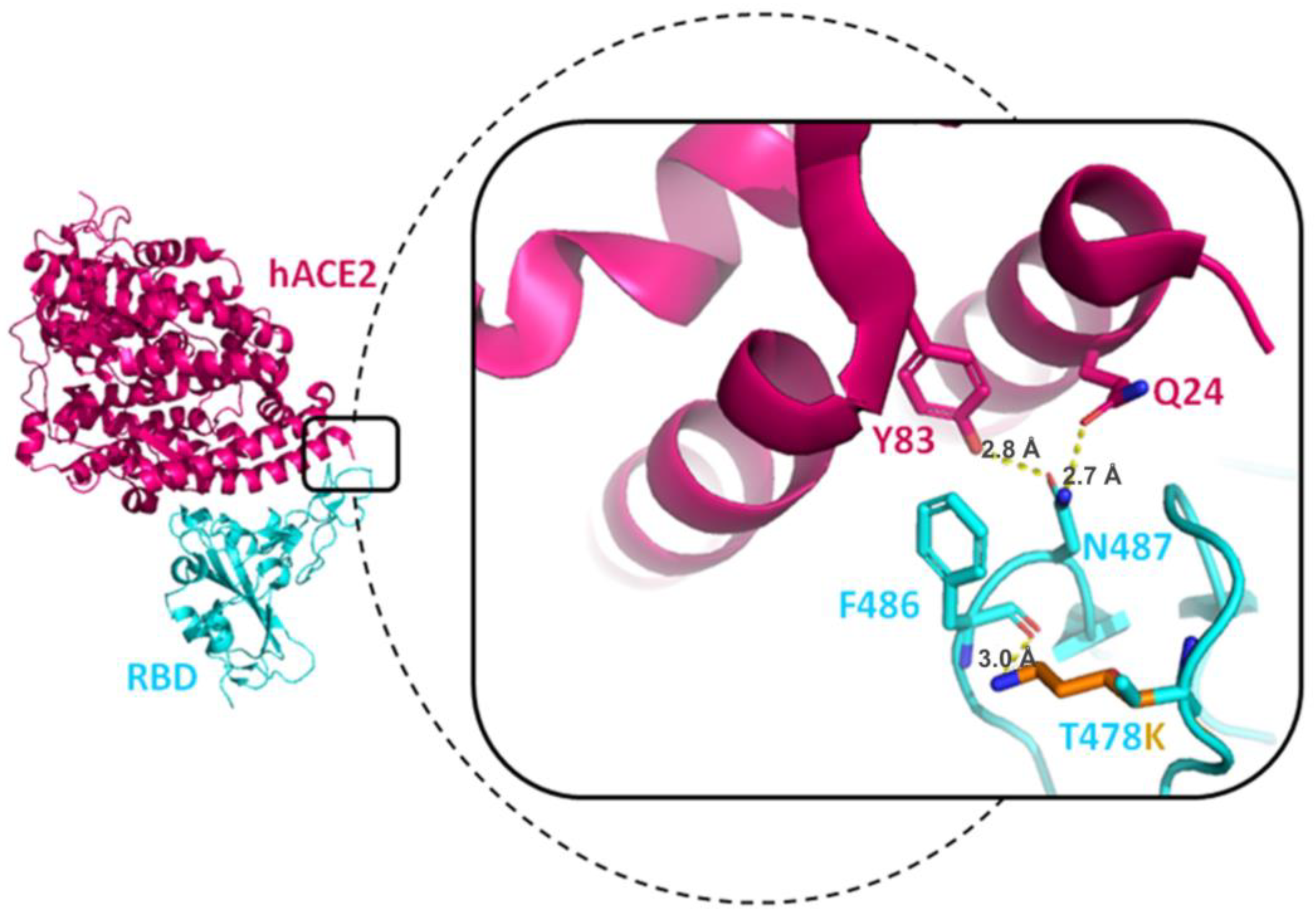 Viruses 15 00856 g009