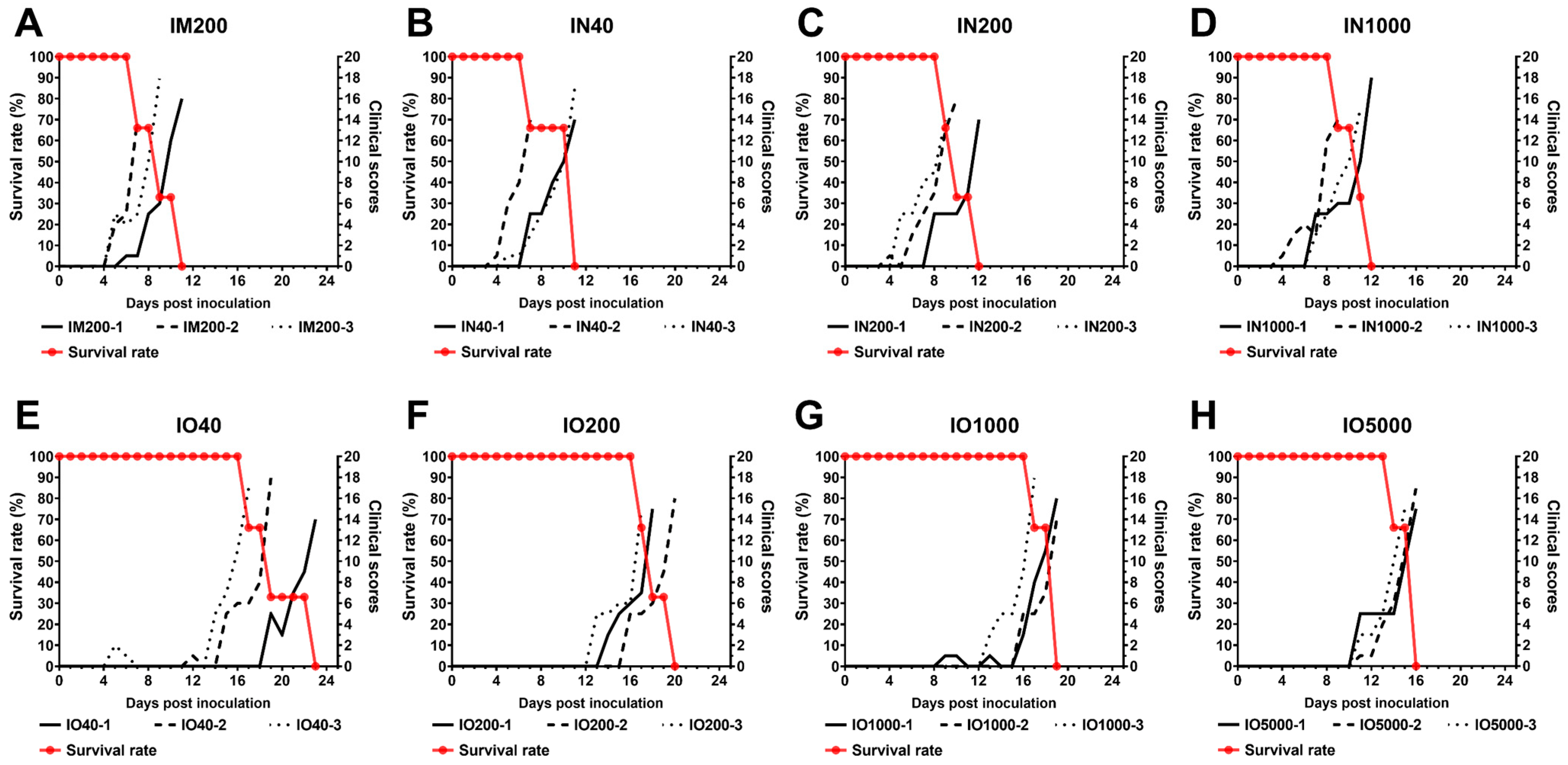 Viruses 15 00858 g001 Viruses 15 00858 g001