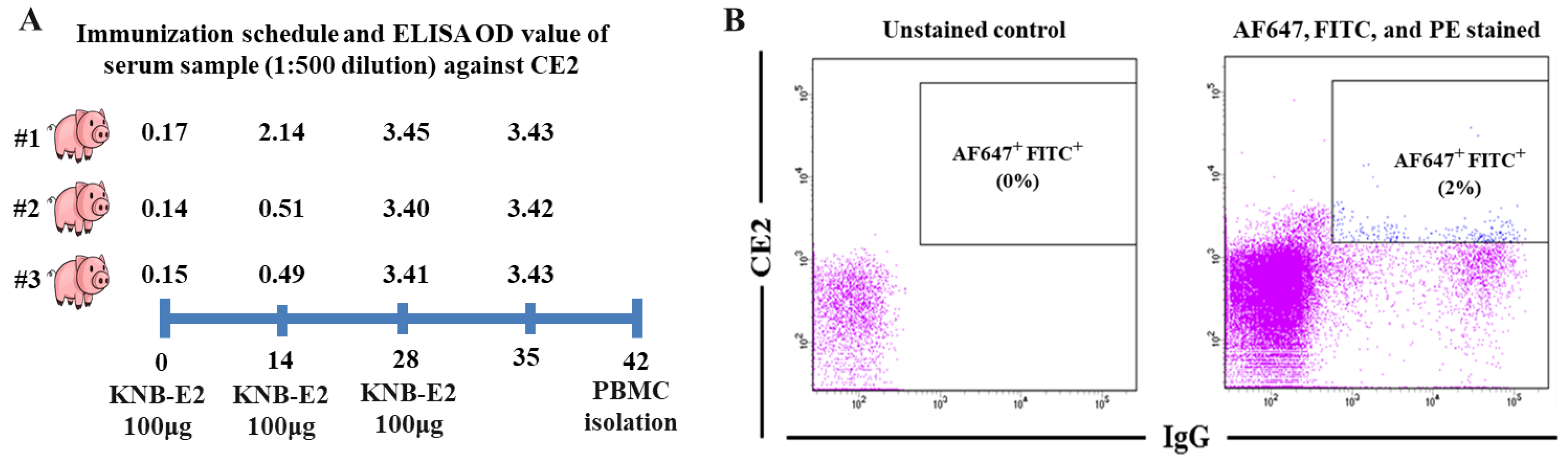 Viruses 15 00863 g001