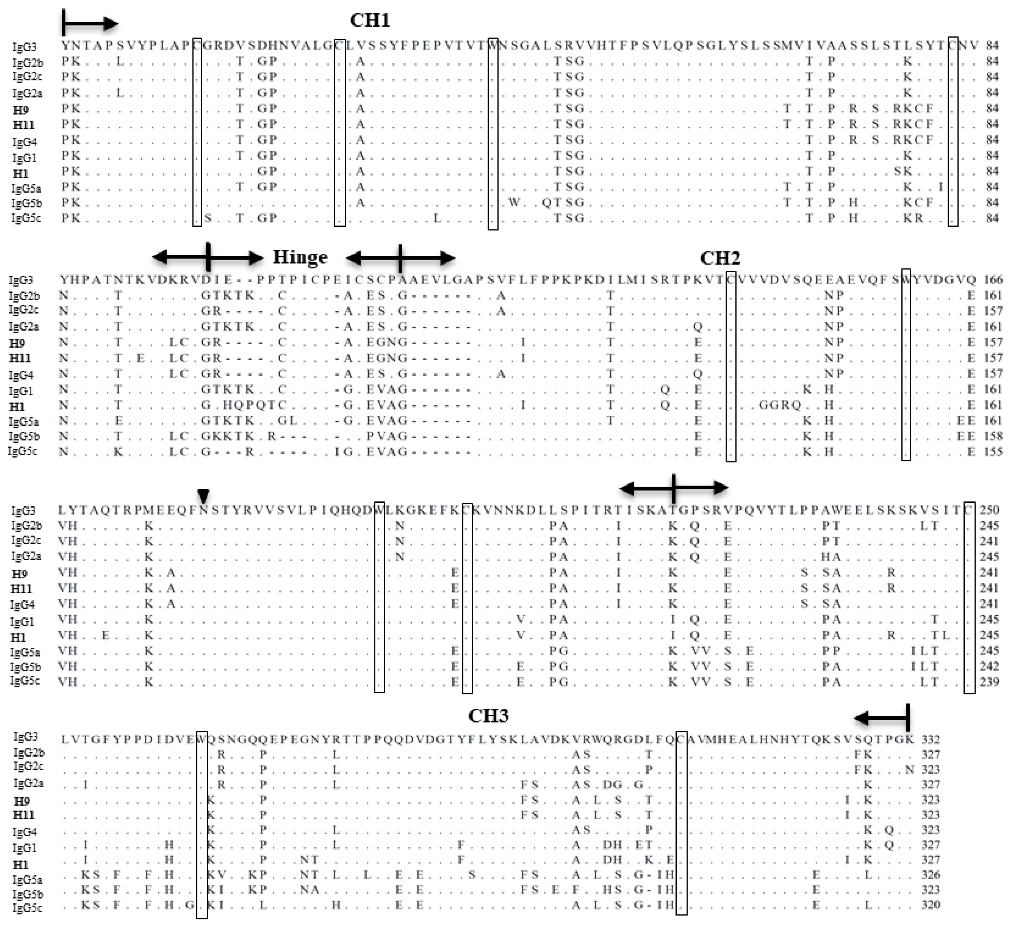 Viruses 15 00863 g004