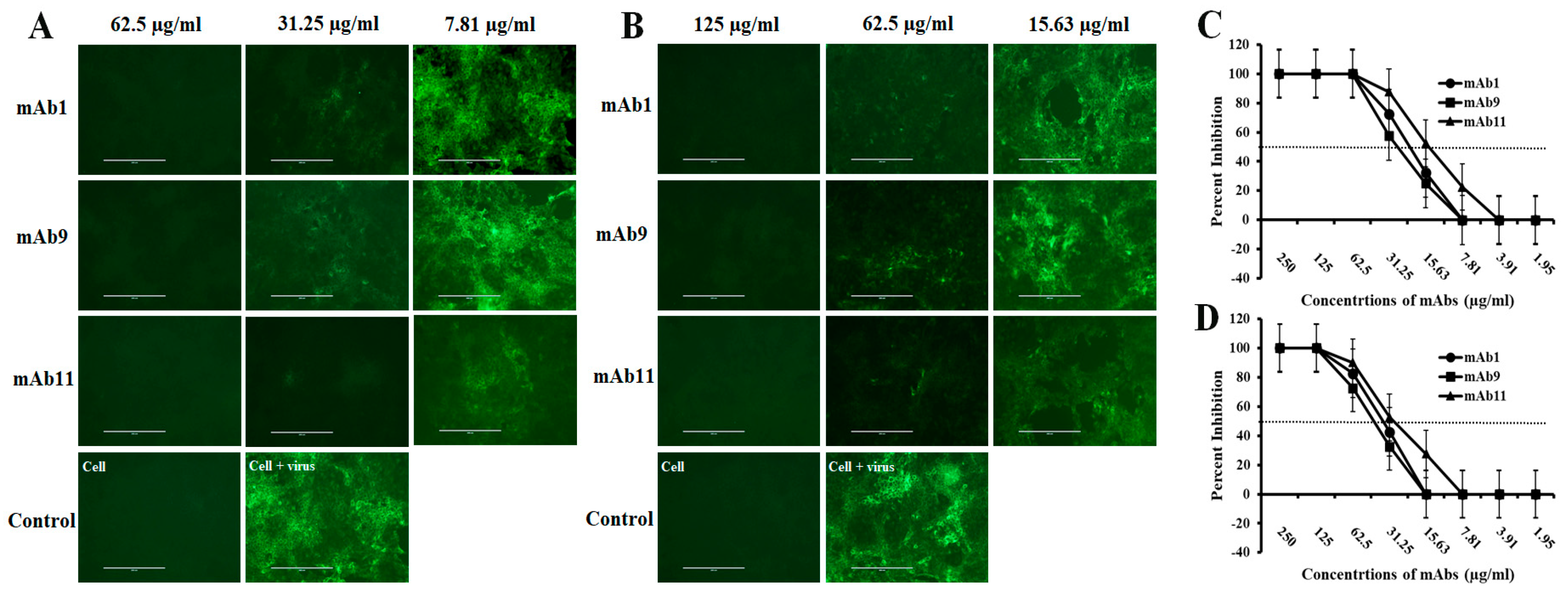 Viruses 15 00863 g006