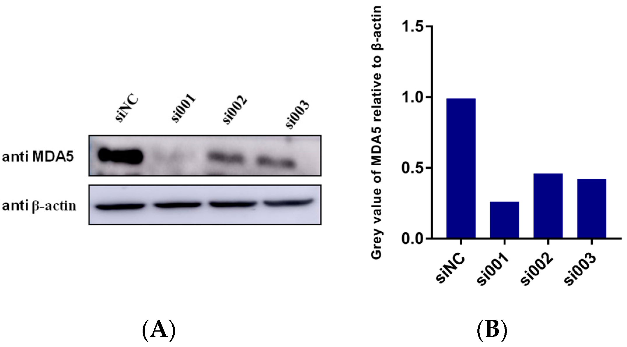 Viruses 15 00866 g008a