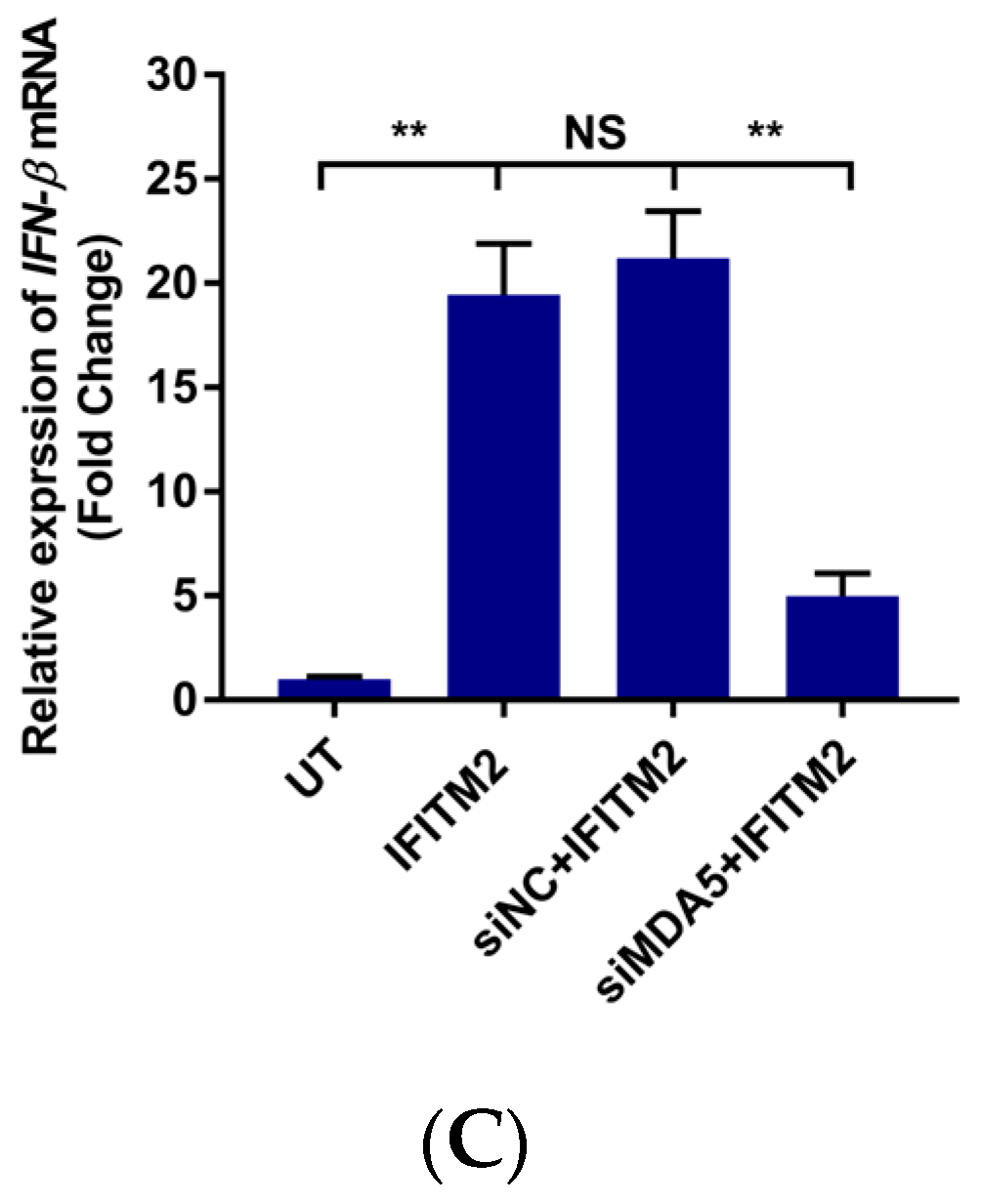 Viruses 15 00866 g008b
