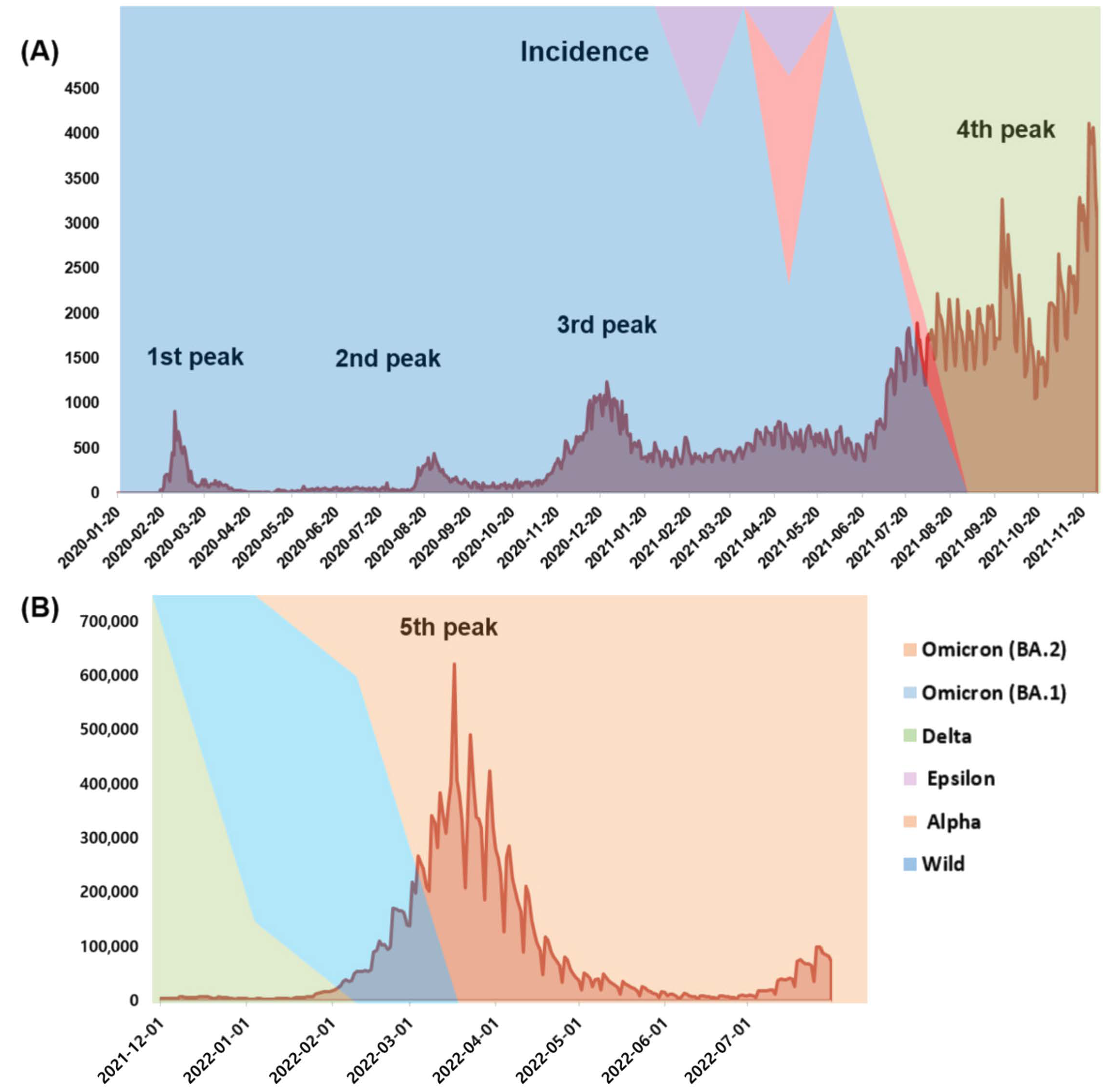 Viruses 15 00873 g001