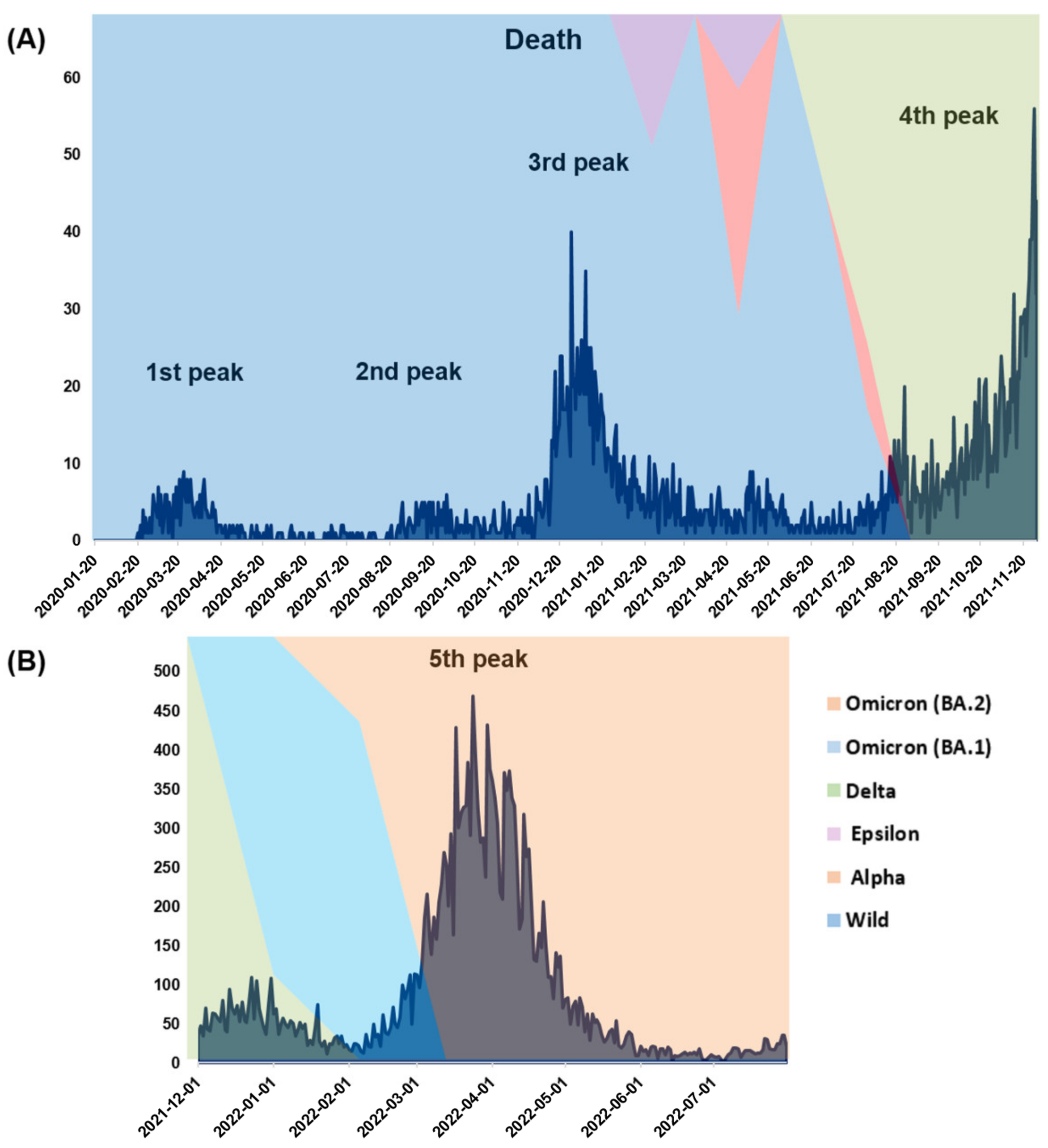 Viruses 15 00873 g002