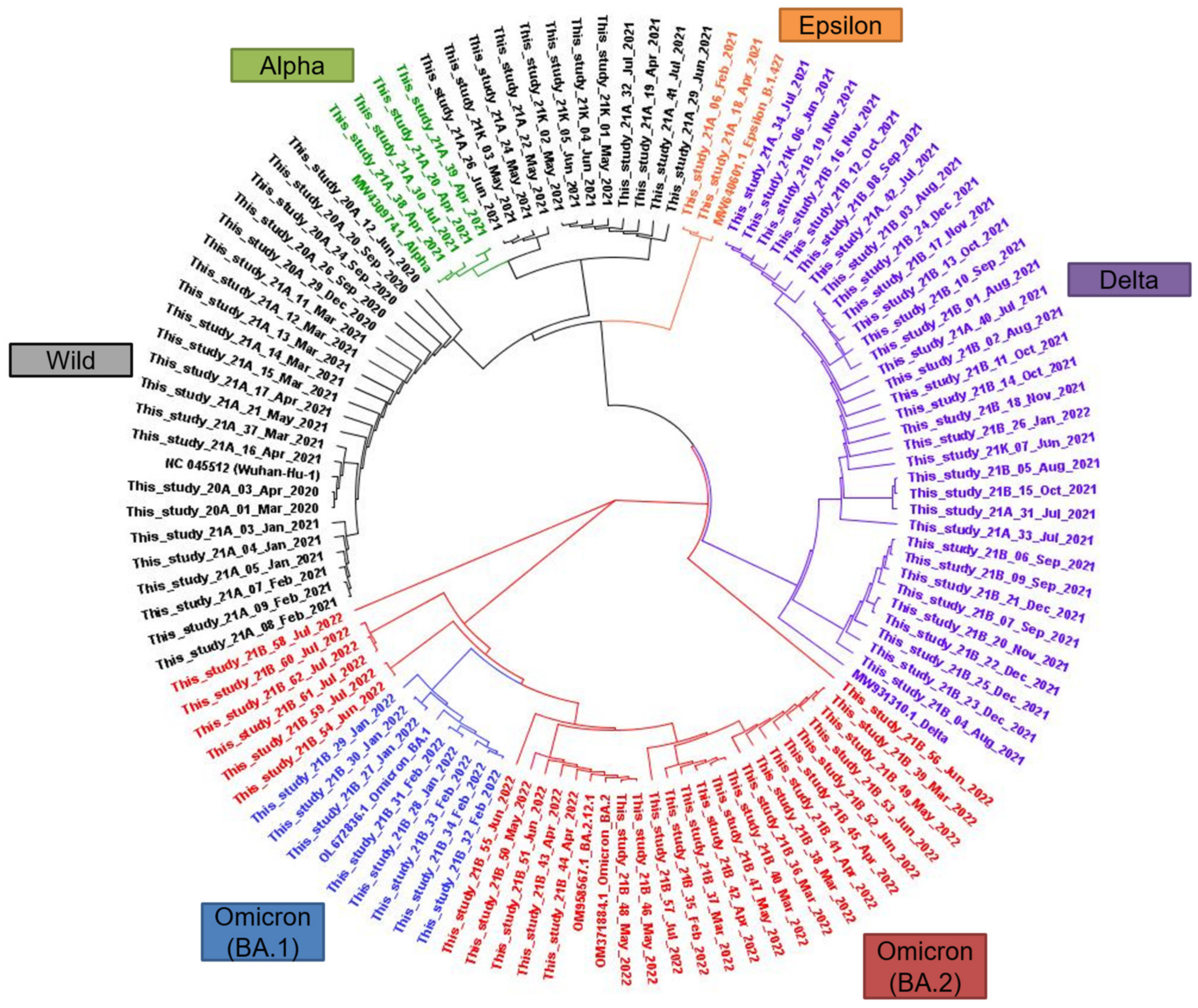 Viruses 15 00873 g004