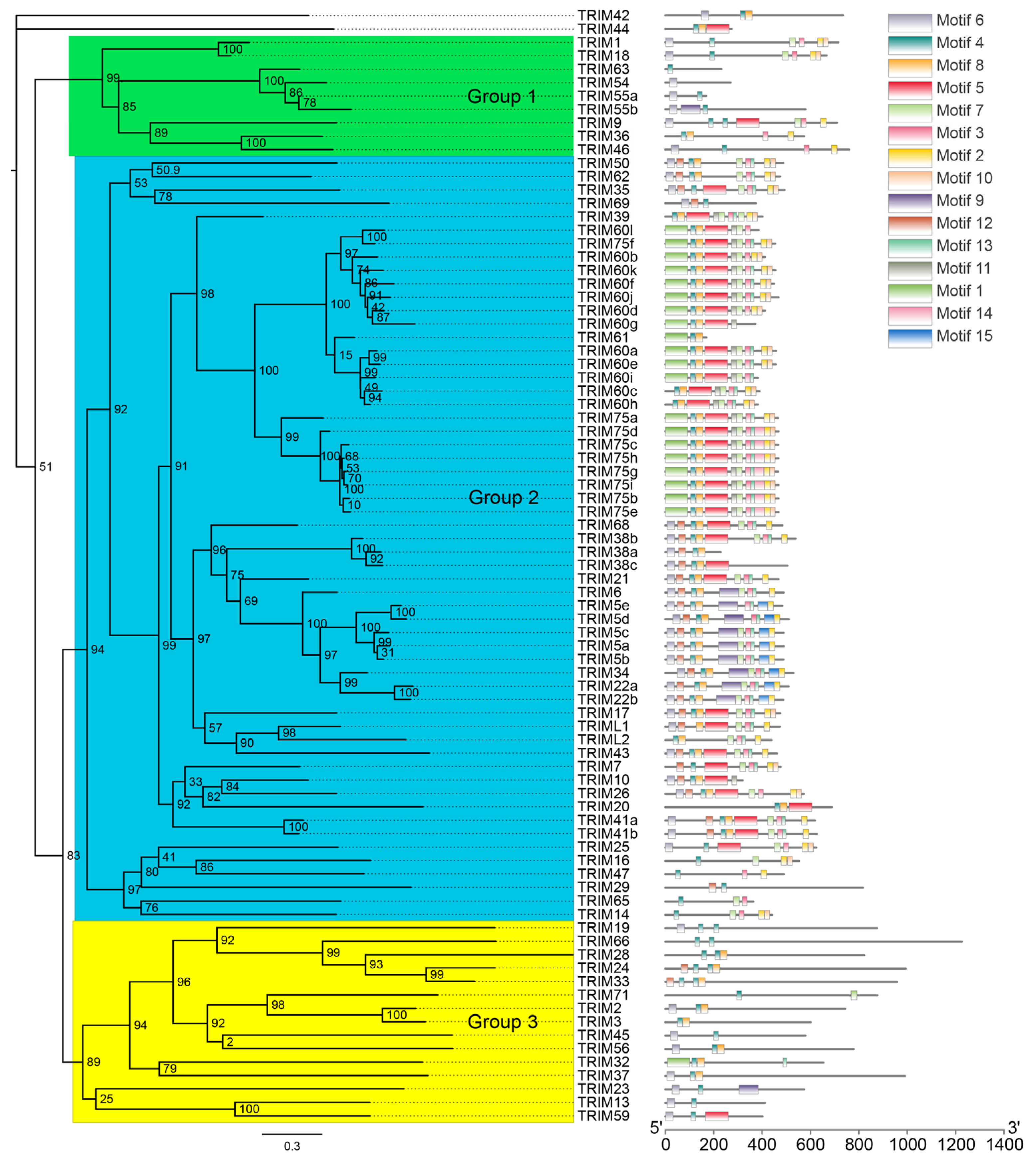 Viruses 15 00875 g002