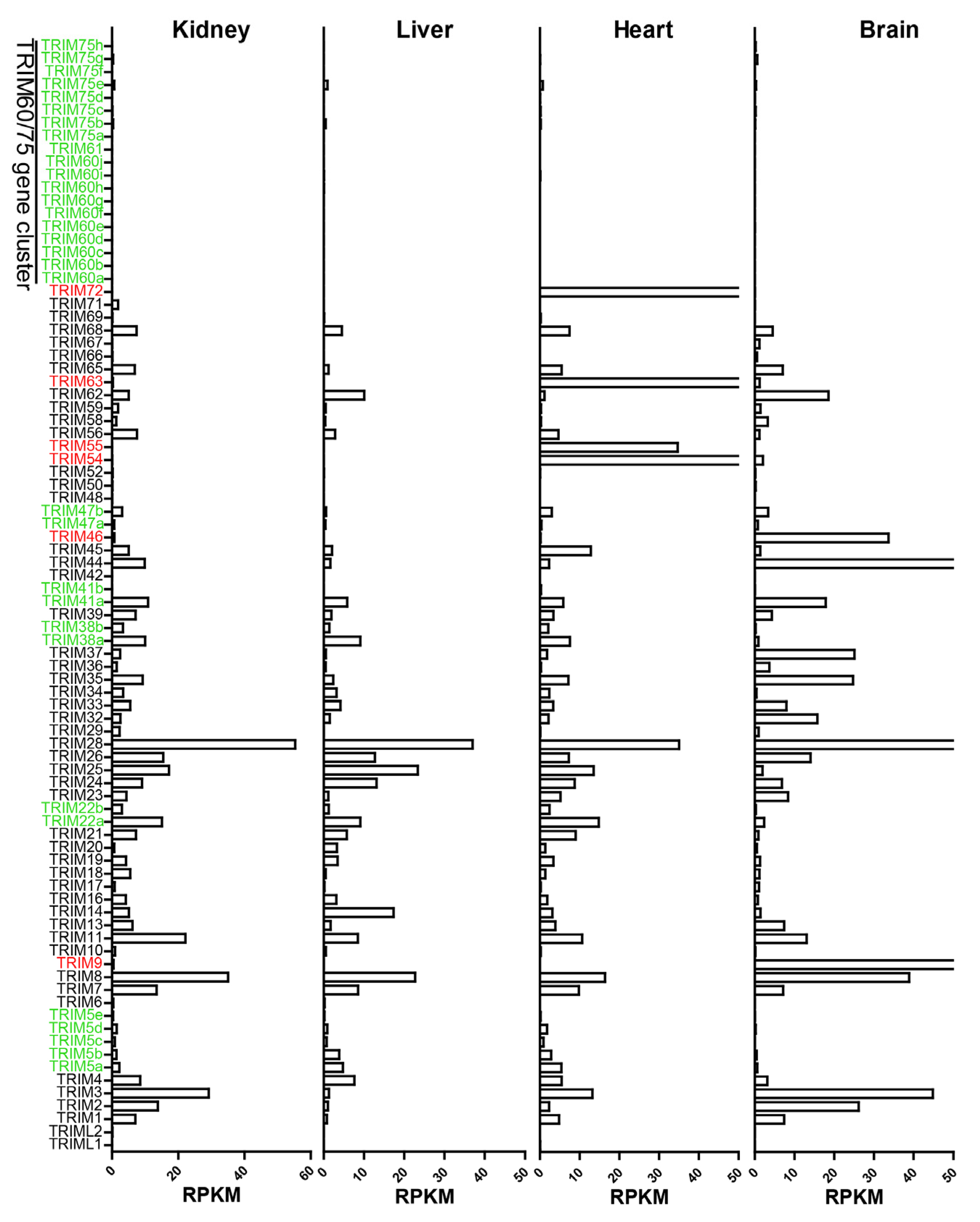 Viruses 15 00875 g003