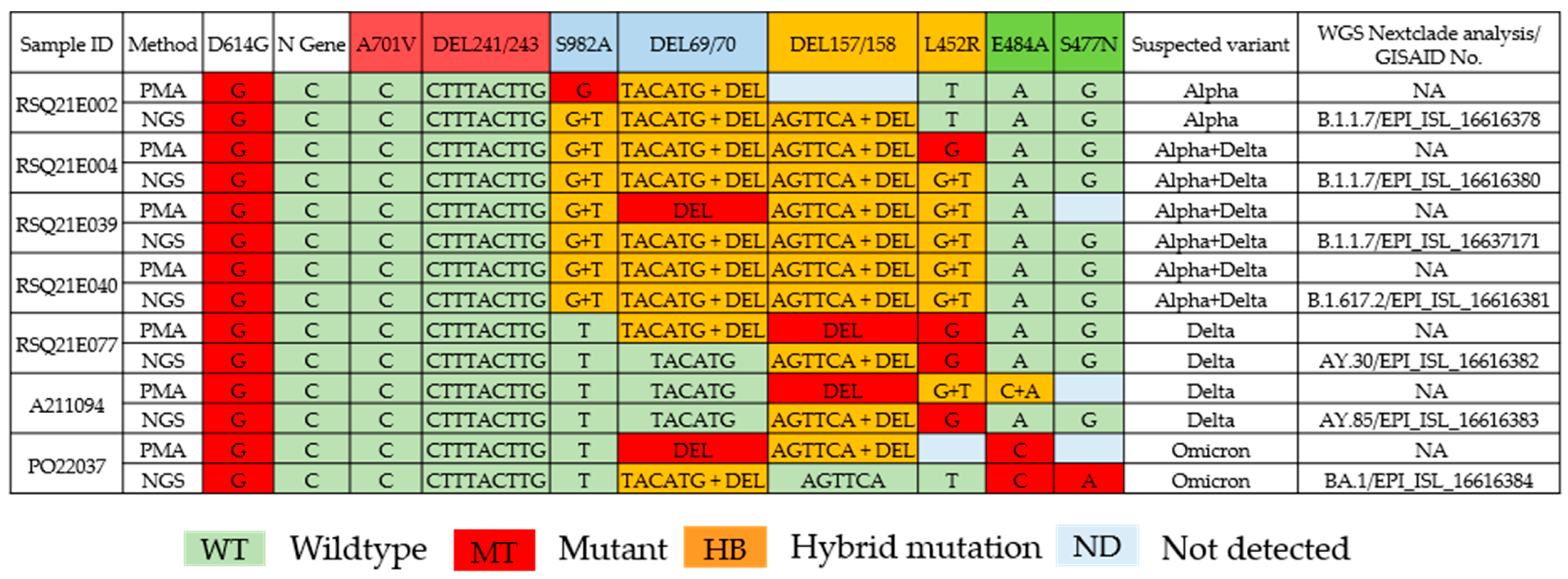 Viruses 15 00876 g003 Viruses 15 00876 g003