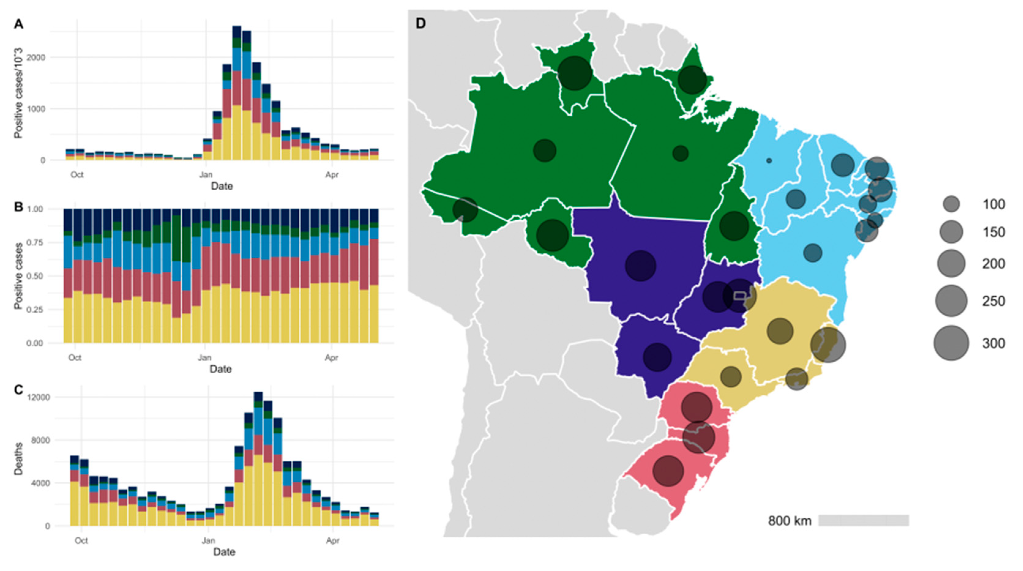 Understanding COVID-19 in Brazil: Socioeconomic Impacts, Statistical  Analysis and Future Challenges